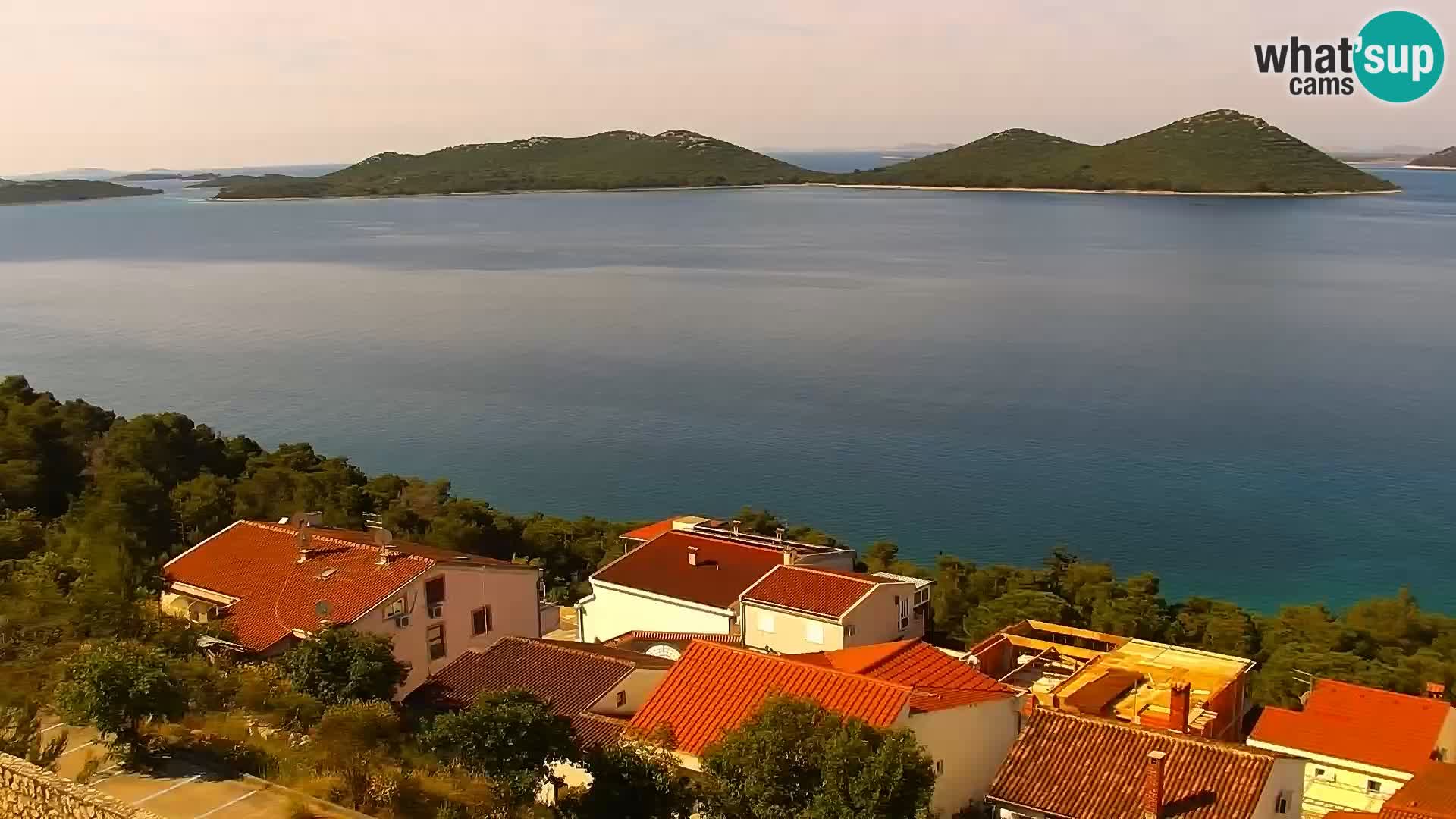 Camera en vivo Drage Croacia