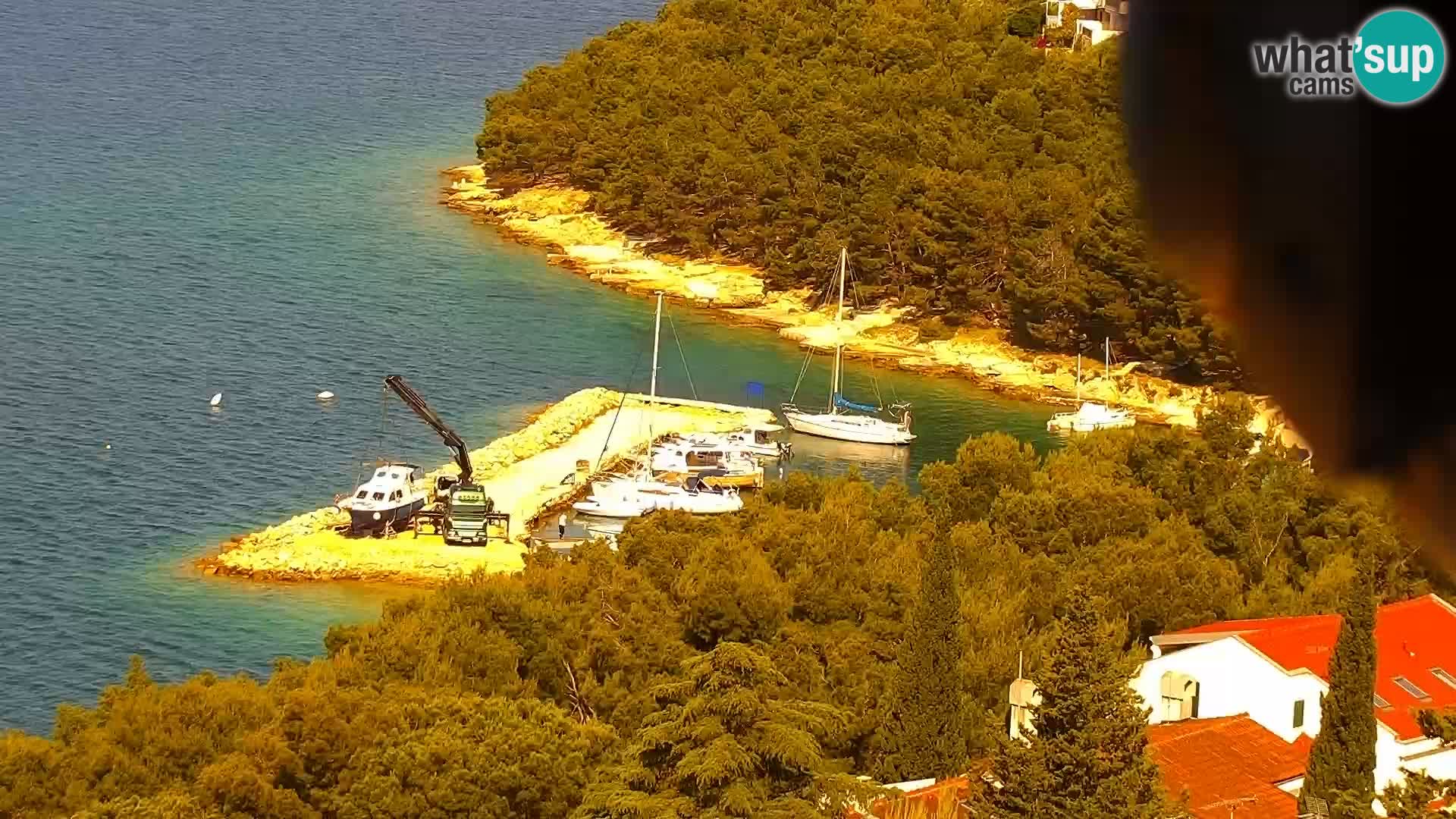 Webcam Drage – panorama view