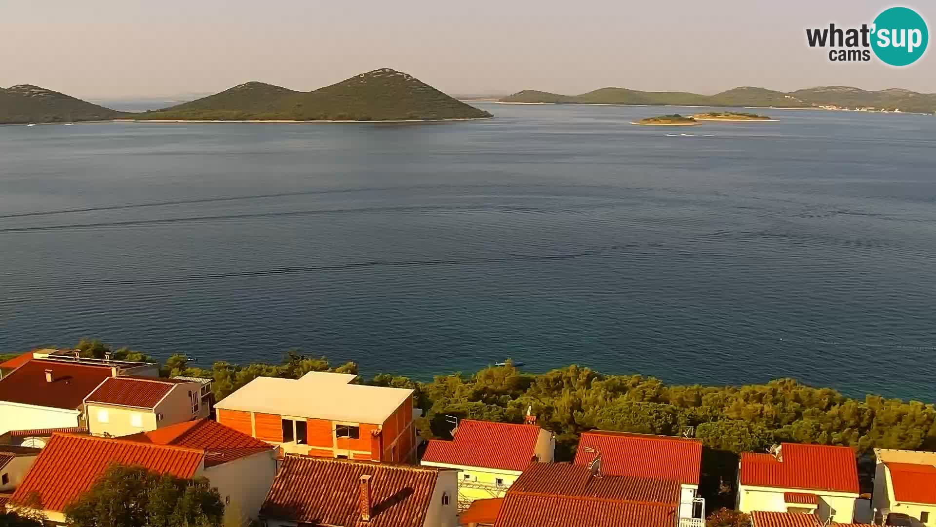 Camera en vivo Drage Croacia