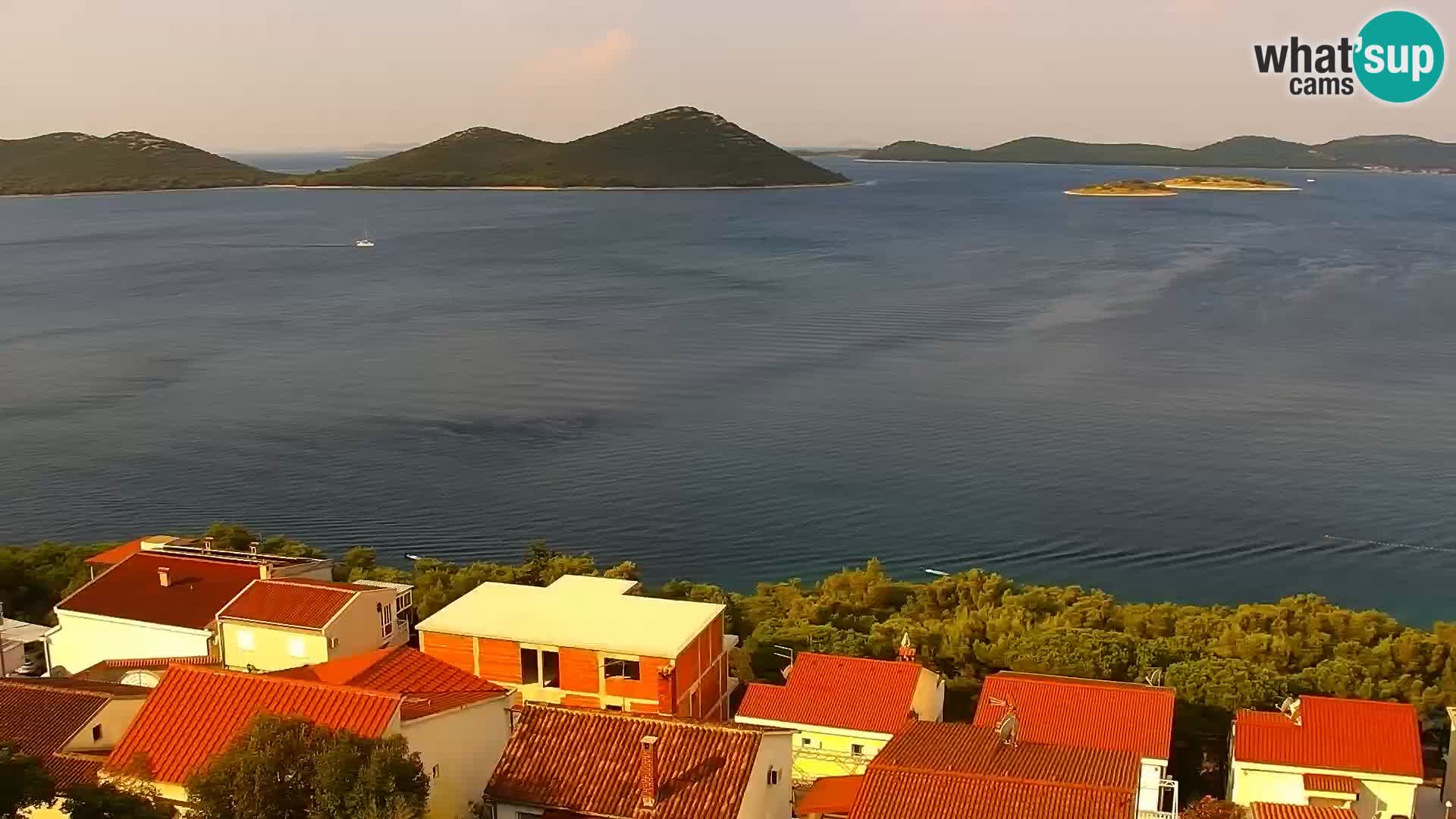 Camera en vivo Drage Croacia