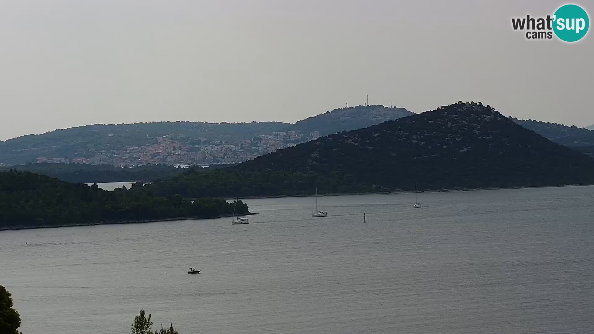Camera en vivo Drage Croacia