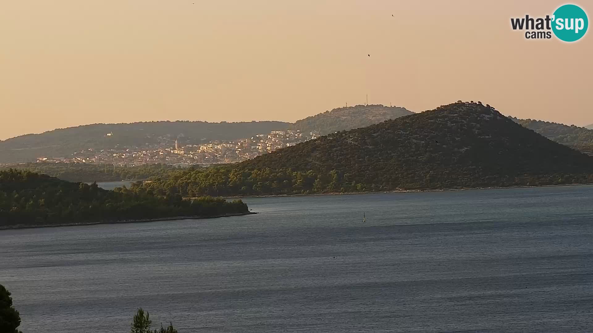 Camera en vivo Drage Croacia