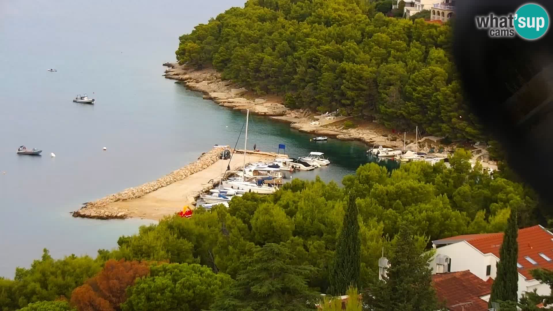 Kamera v živo Drage panorama