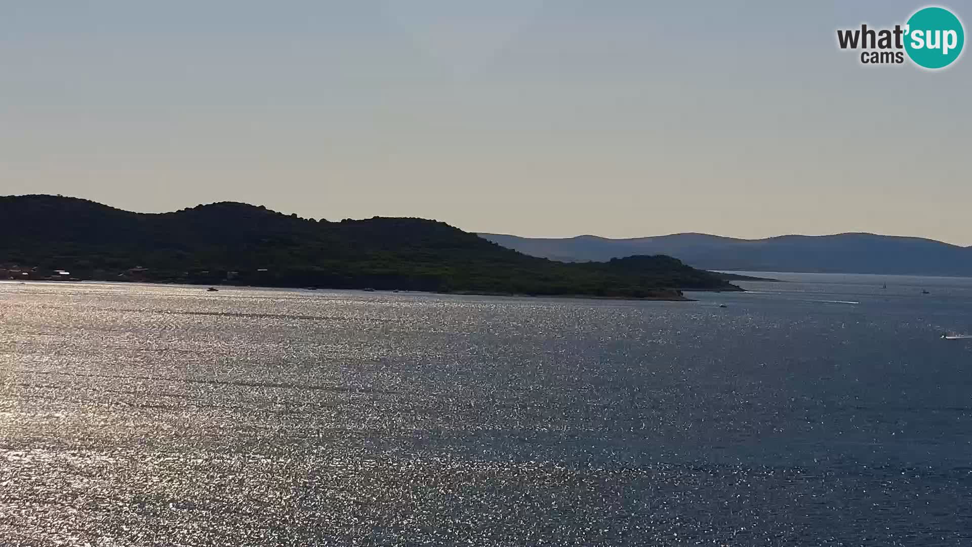 Camera en vivo Drage Croacia