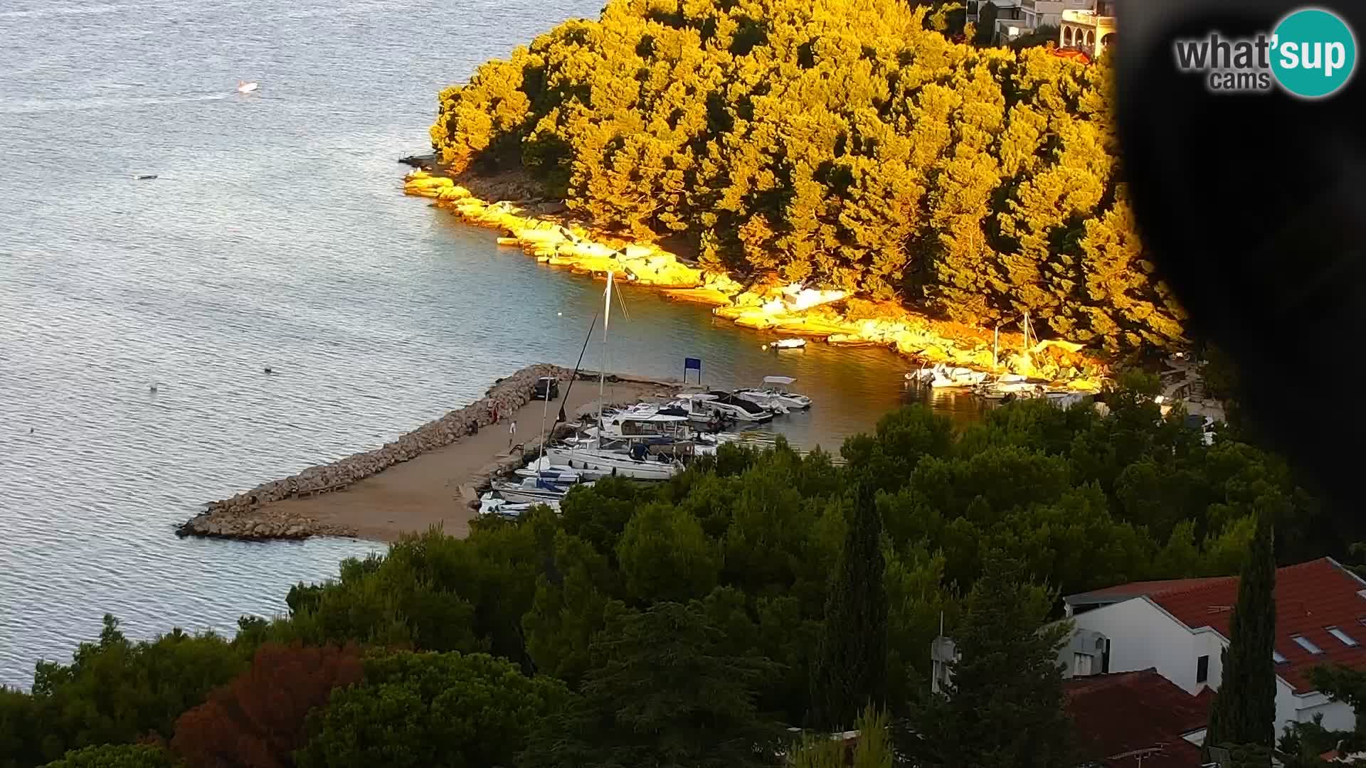 Kamera v živo Drage panorama