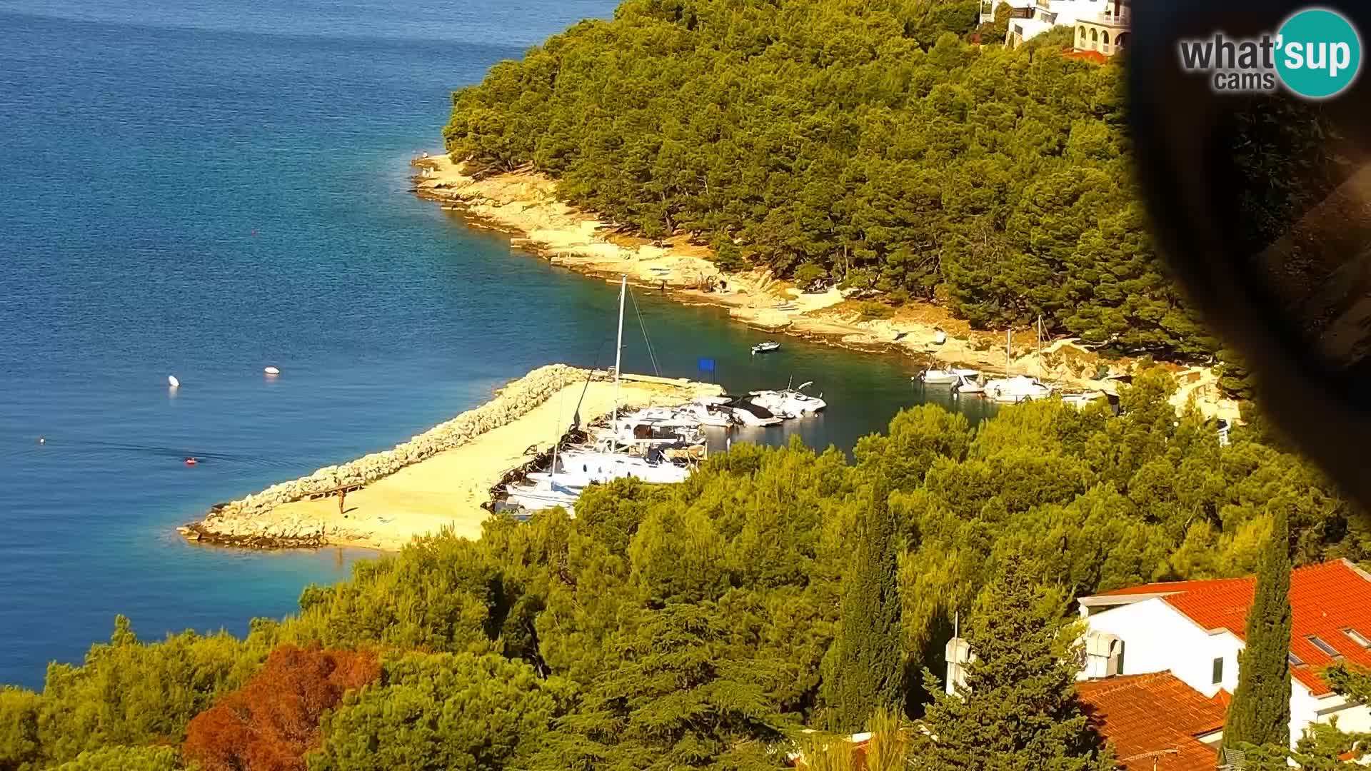 Webcam live Drage Dalmazia – panorama