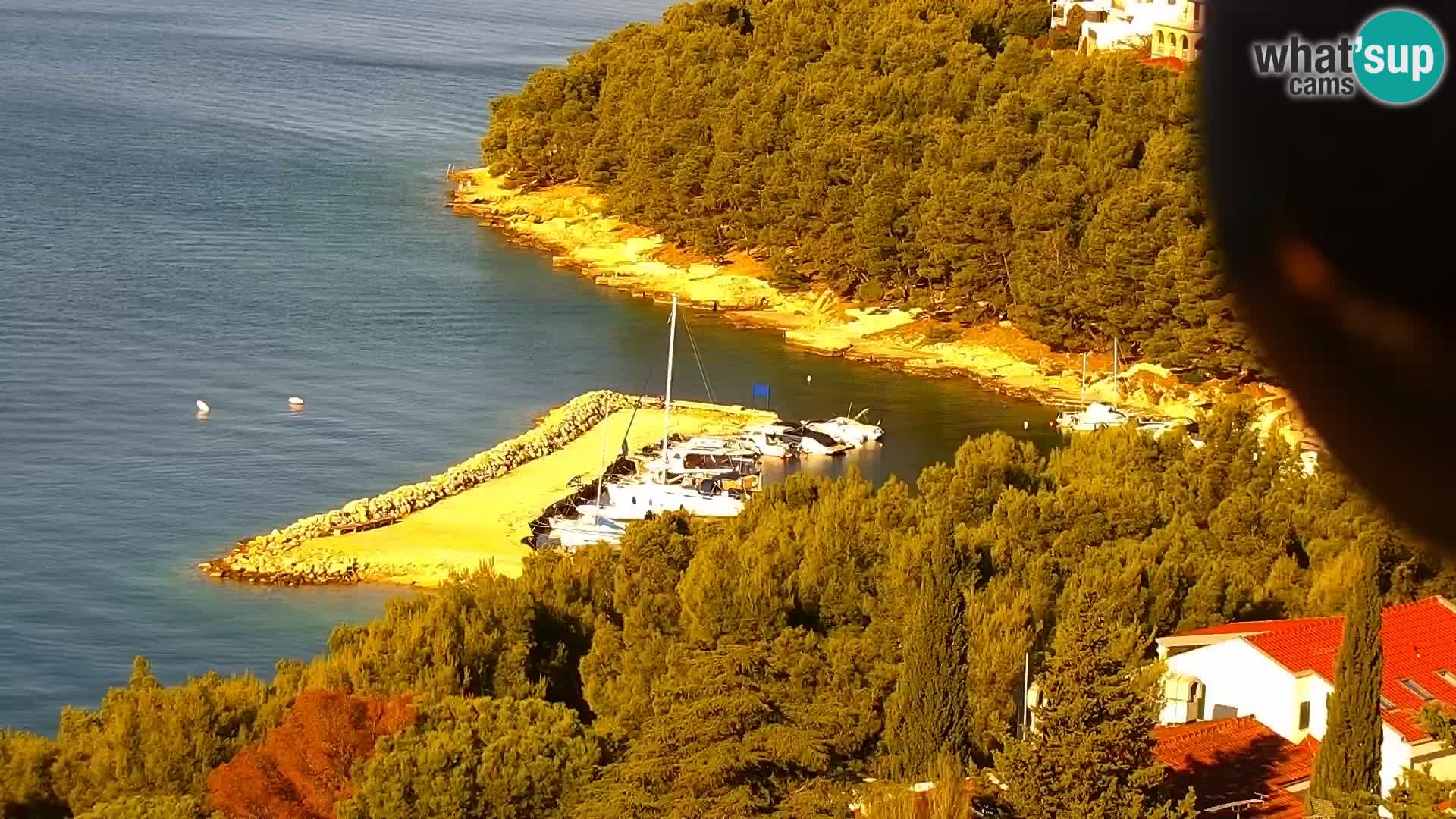 Camera en vivo Drage Croacia