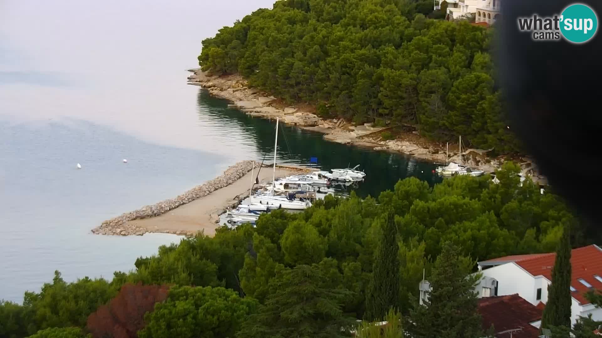 Camera en vivo Drage Croacia