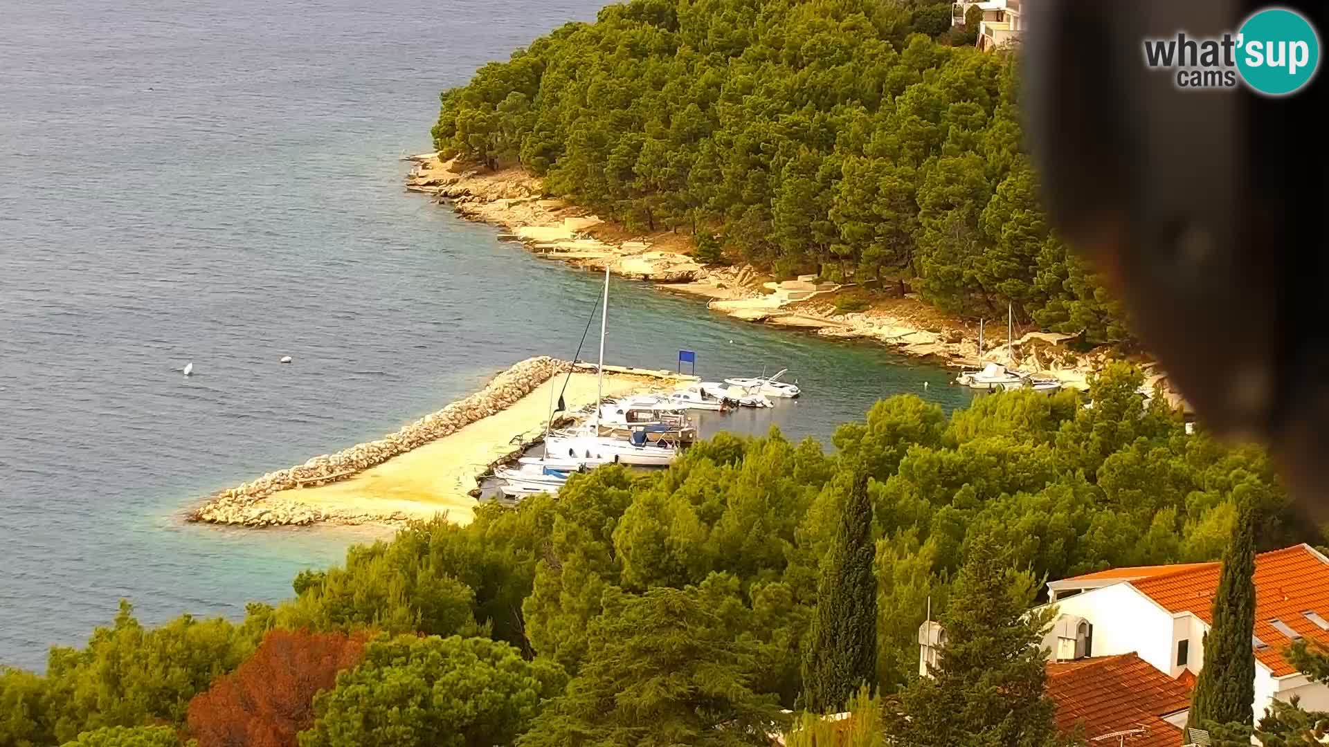 Webcam Drage – Dalmatien