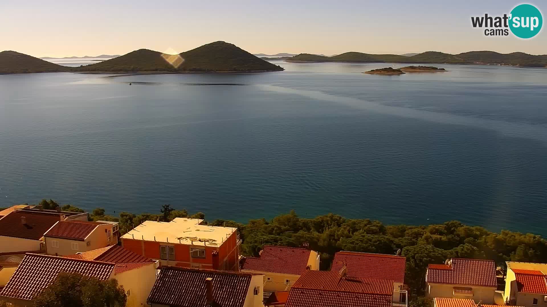 Camera en vivo Drage Croacia