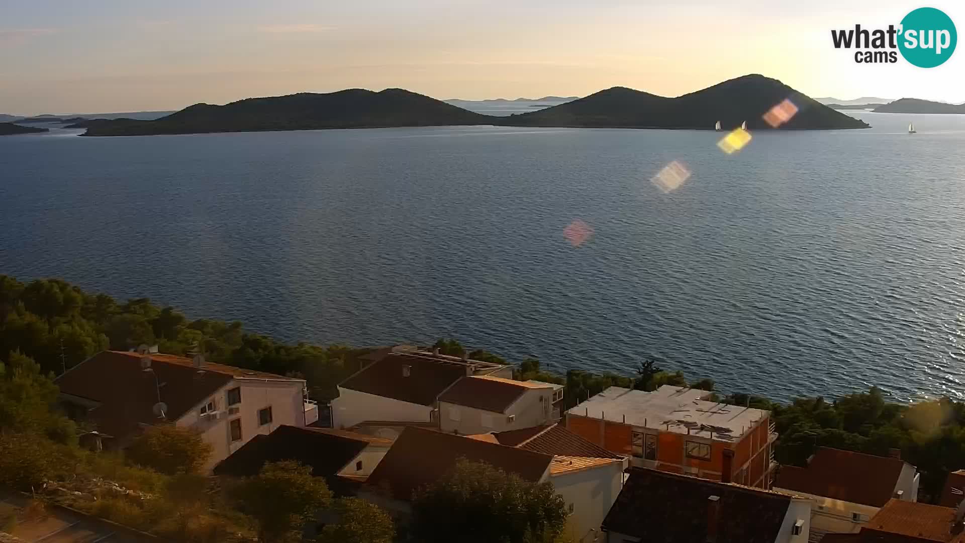 Camera en vivo Drage – Triple “P”