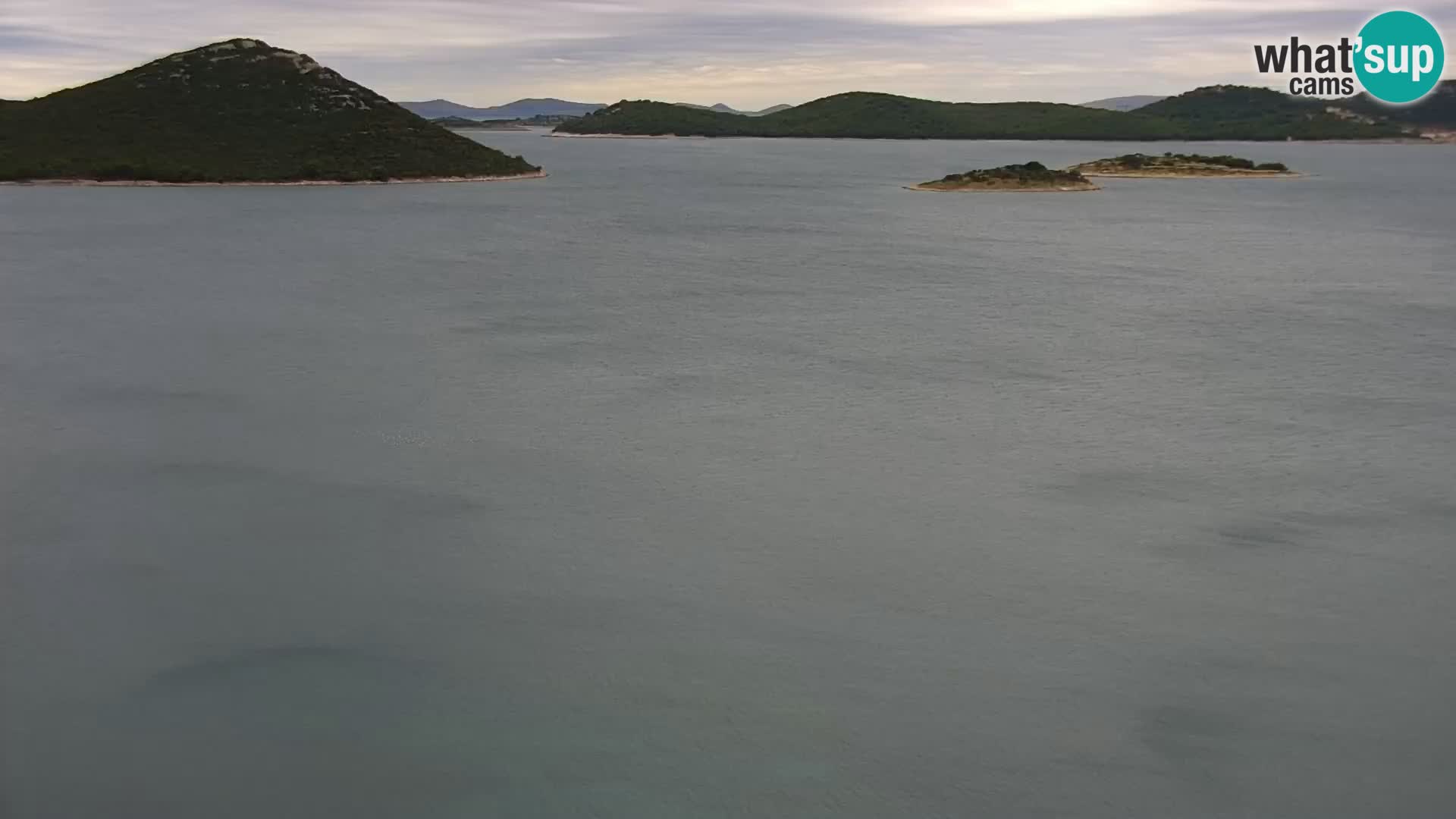 Camera en vivo Drage Croacia