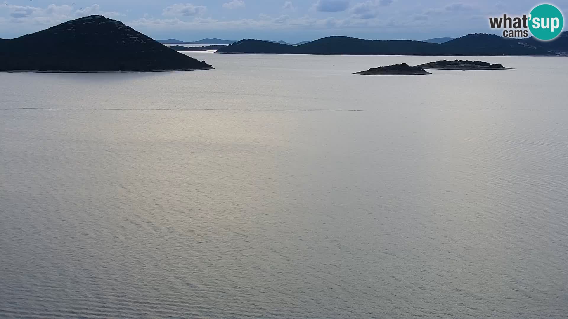 Camera en vivo Drage Croacia