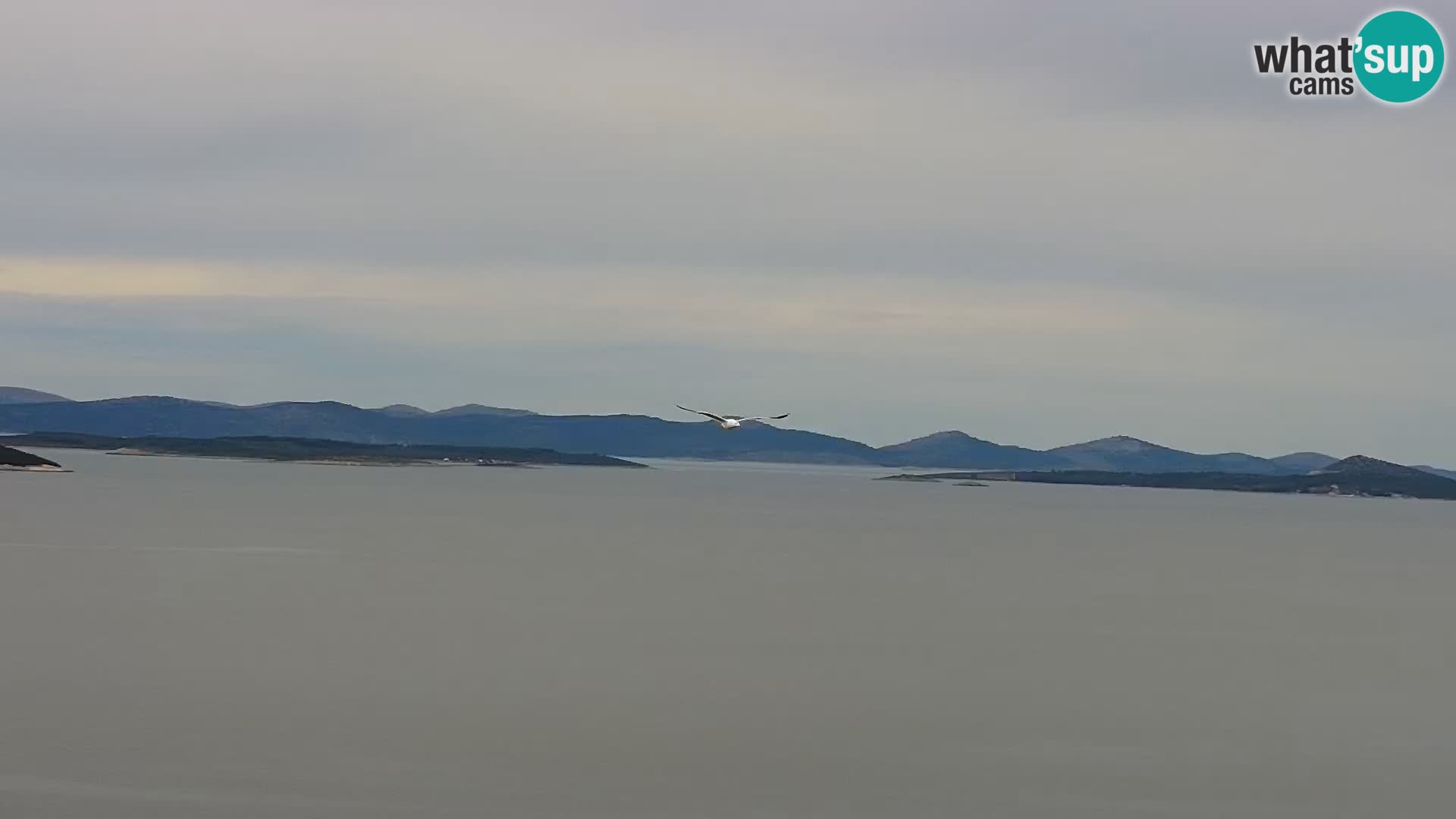 Kamera u živo Drage panorama