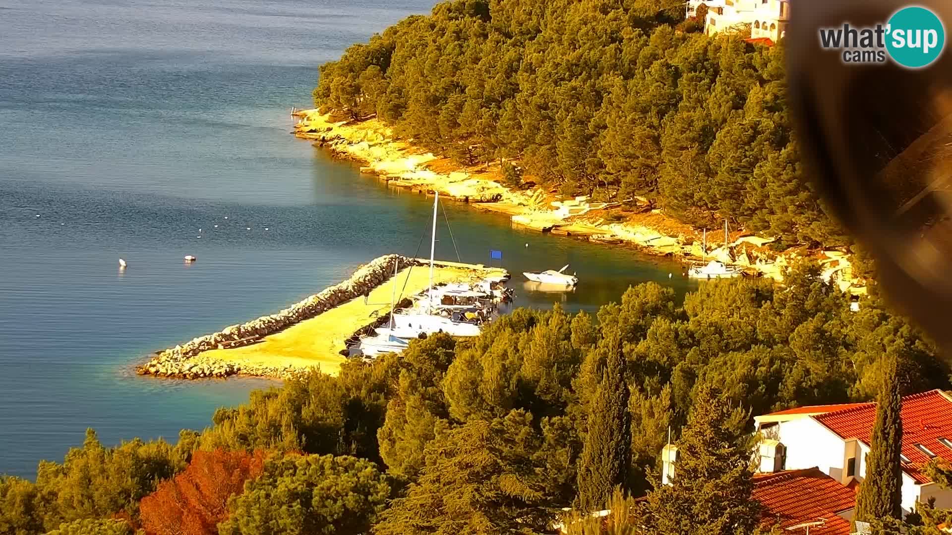 Camera en vivo Drage Croacia