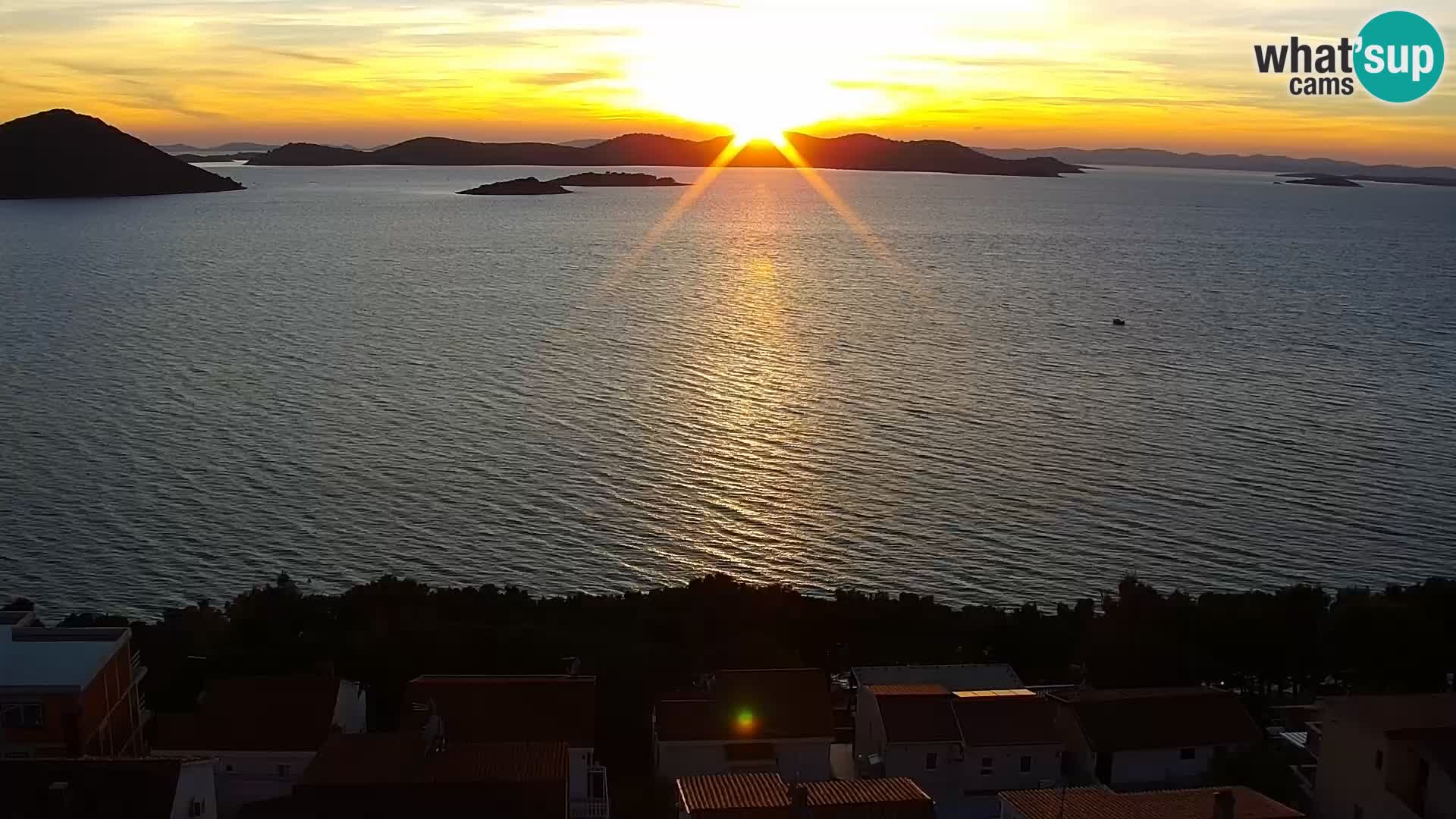 Camera en vivo Drage – Triple “P”