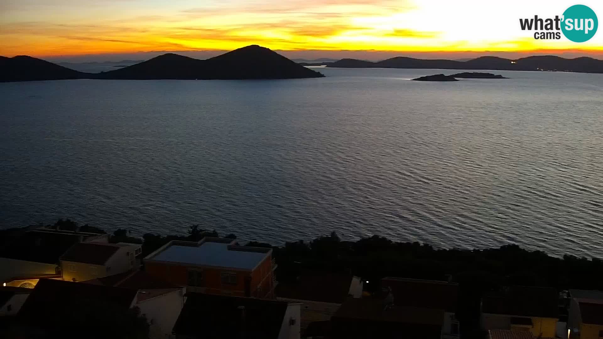 Camera en vivo Drage – Triple “P”