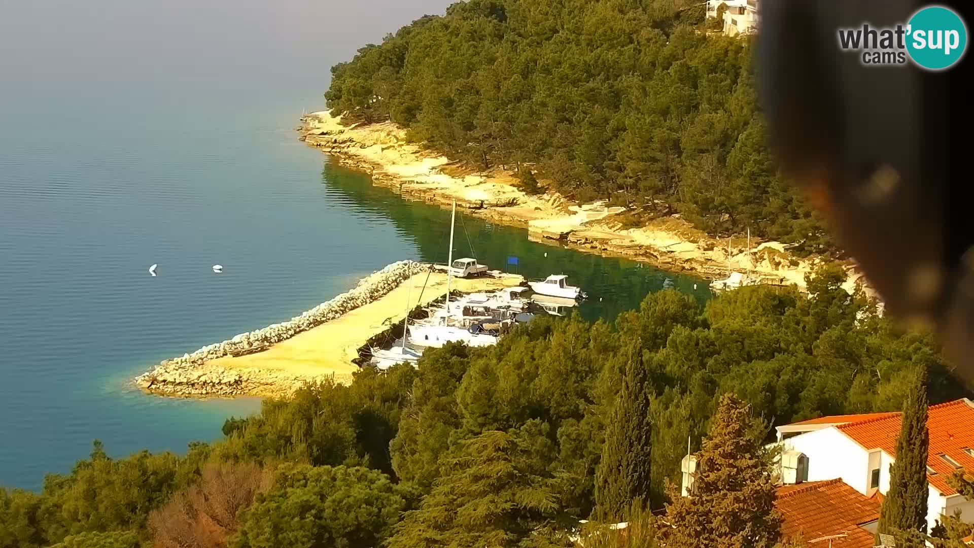 Webcam Drage – panorama view