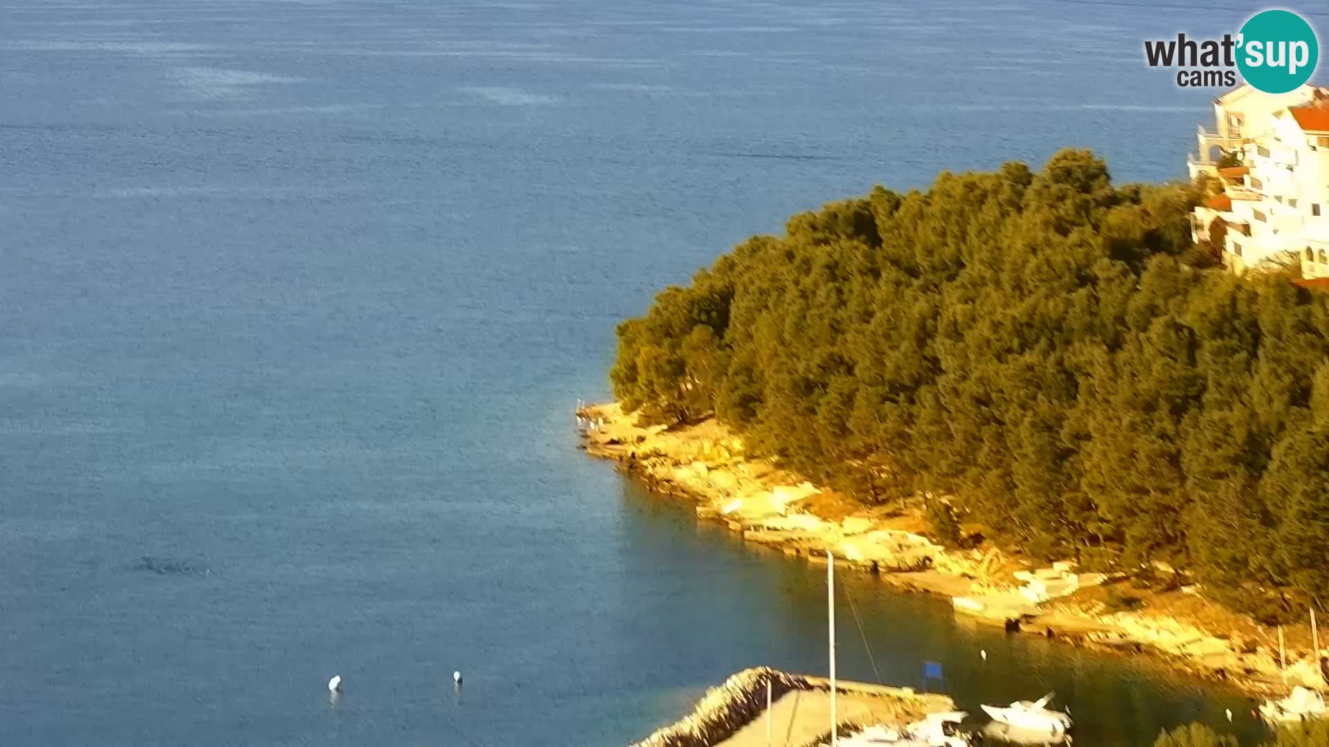 Camera en vivo Drage Croacia