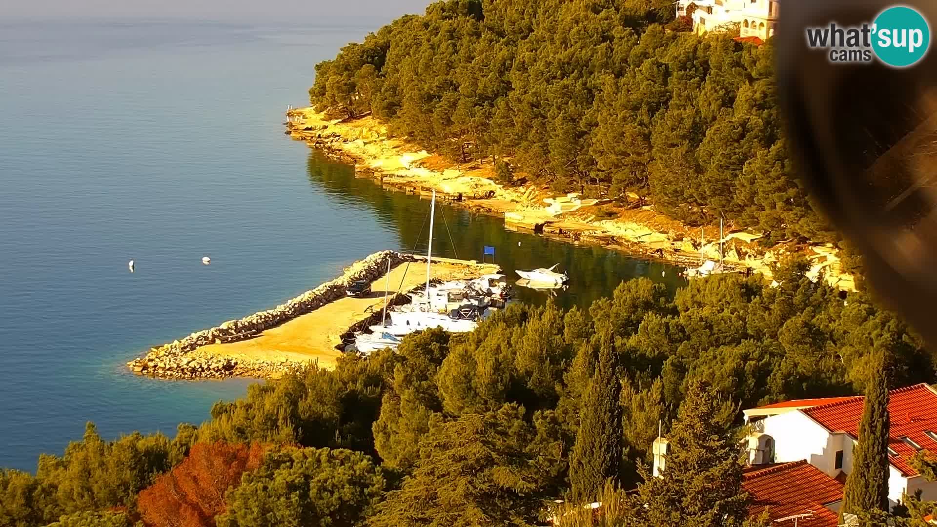 Livecam Drage – Croatien