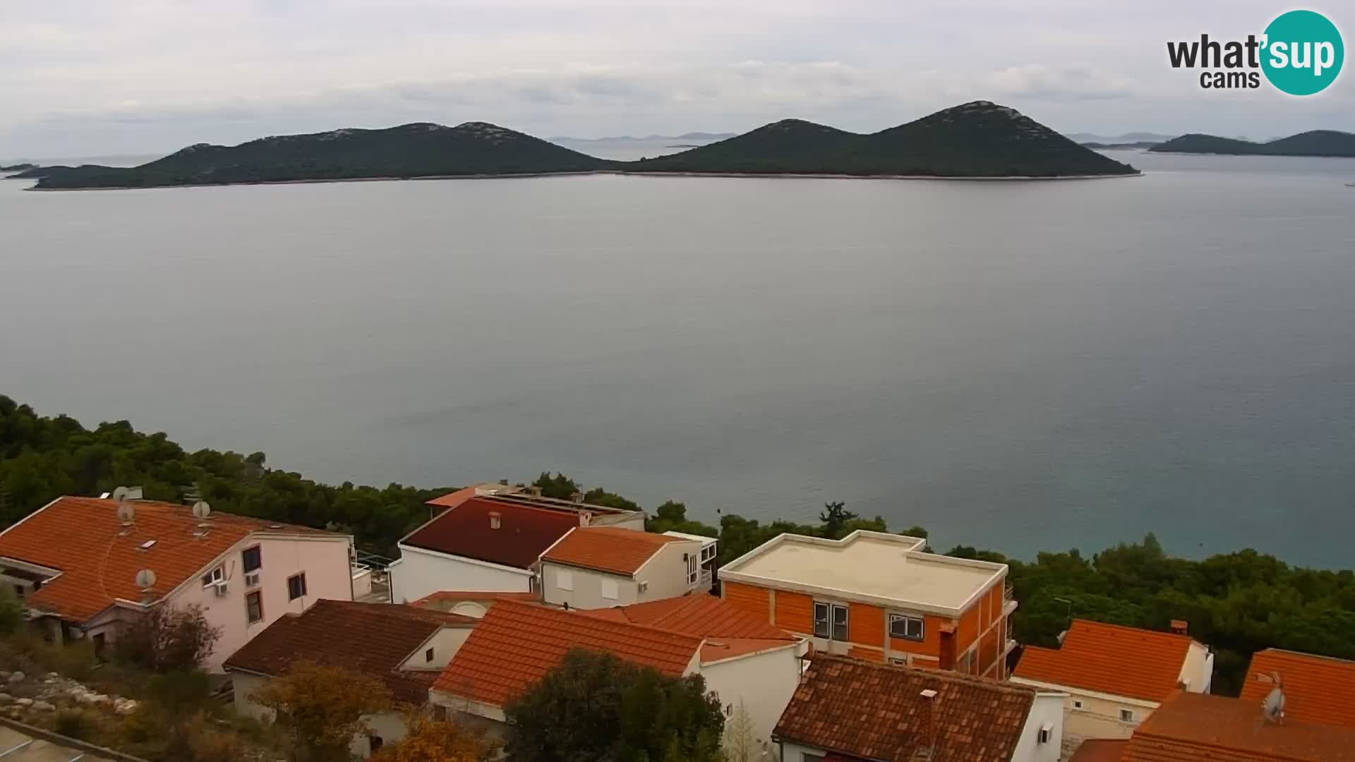 Webcam Drage view – Triple “P”