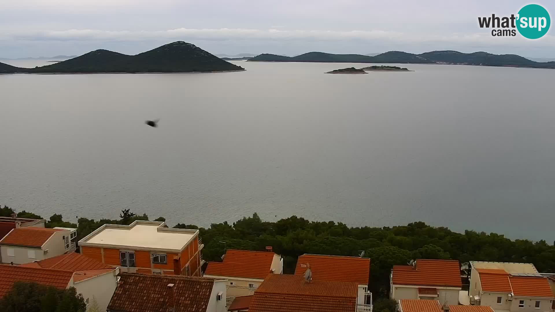 Livecam Drage – Croatien