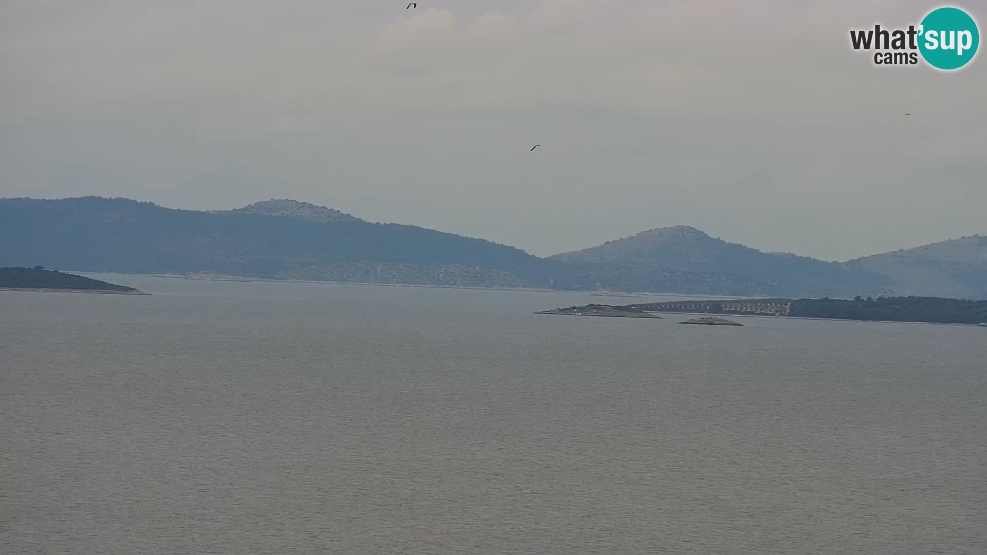 Webcam Drage – Dalmatien