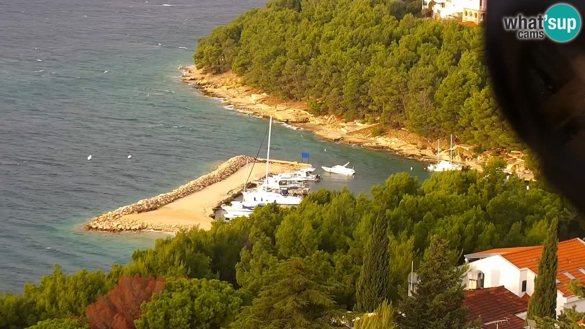 Webcam Drage – panorama view