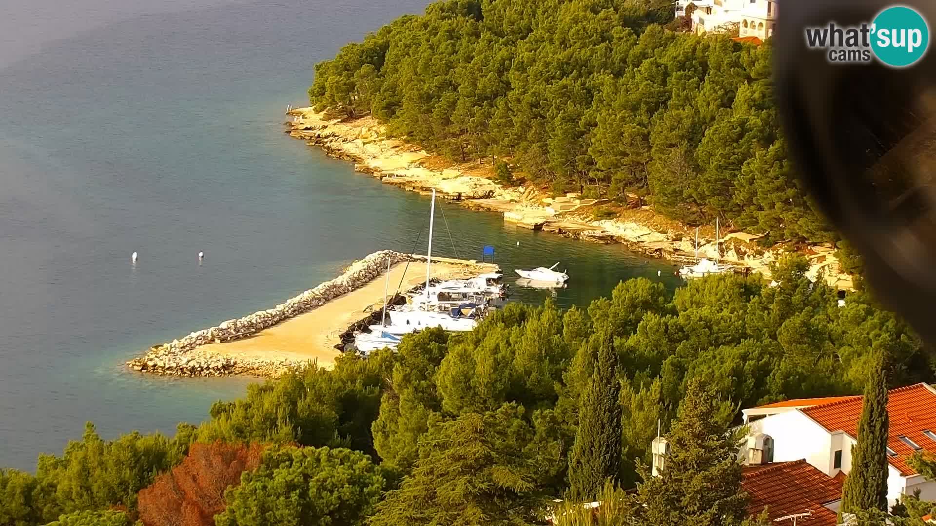 Webcam Drage – panorama view