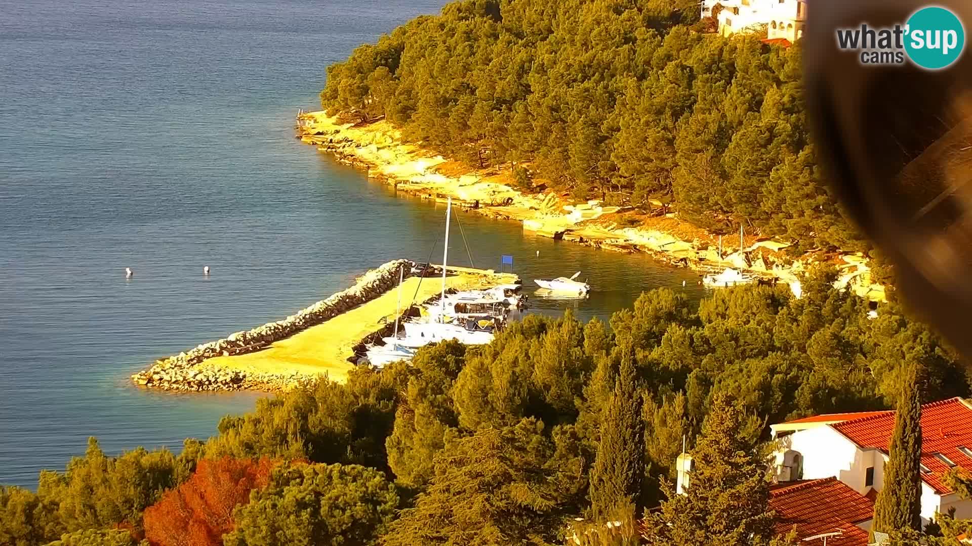 Webcam Drage – panorama view