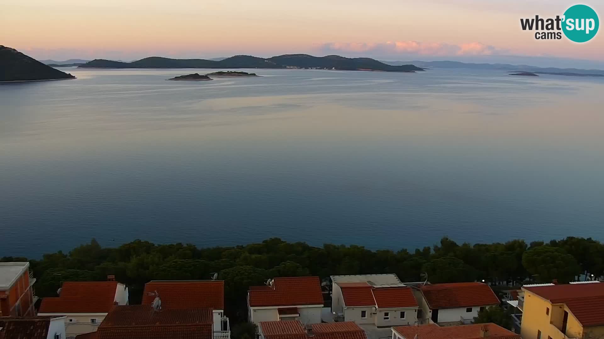 Camera en vivo Drage – Triple “P”