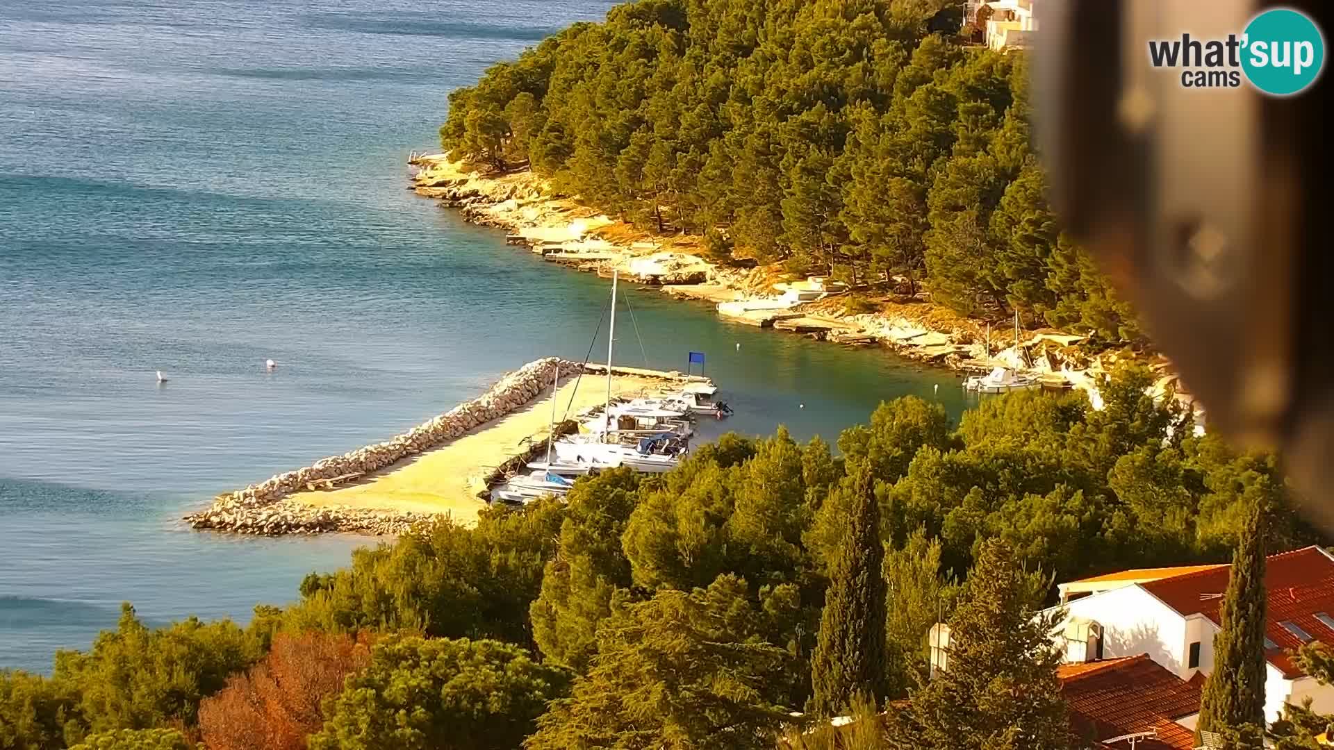 Webcam live Drage Dalmazia – panorama