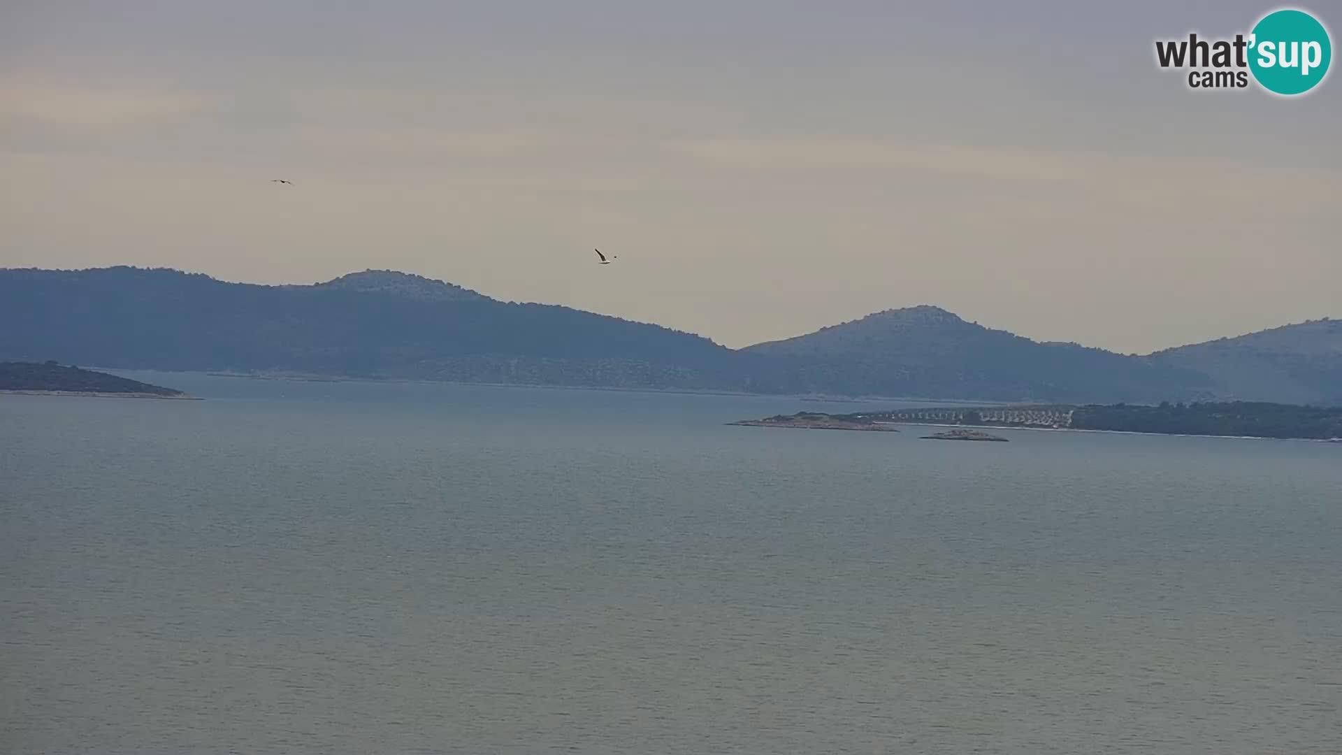 Webcam Drage – panorama view