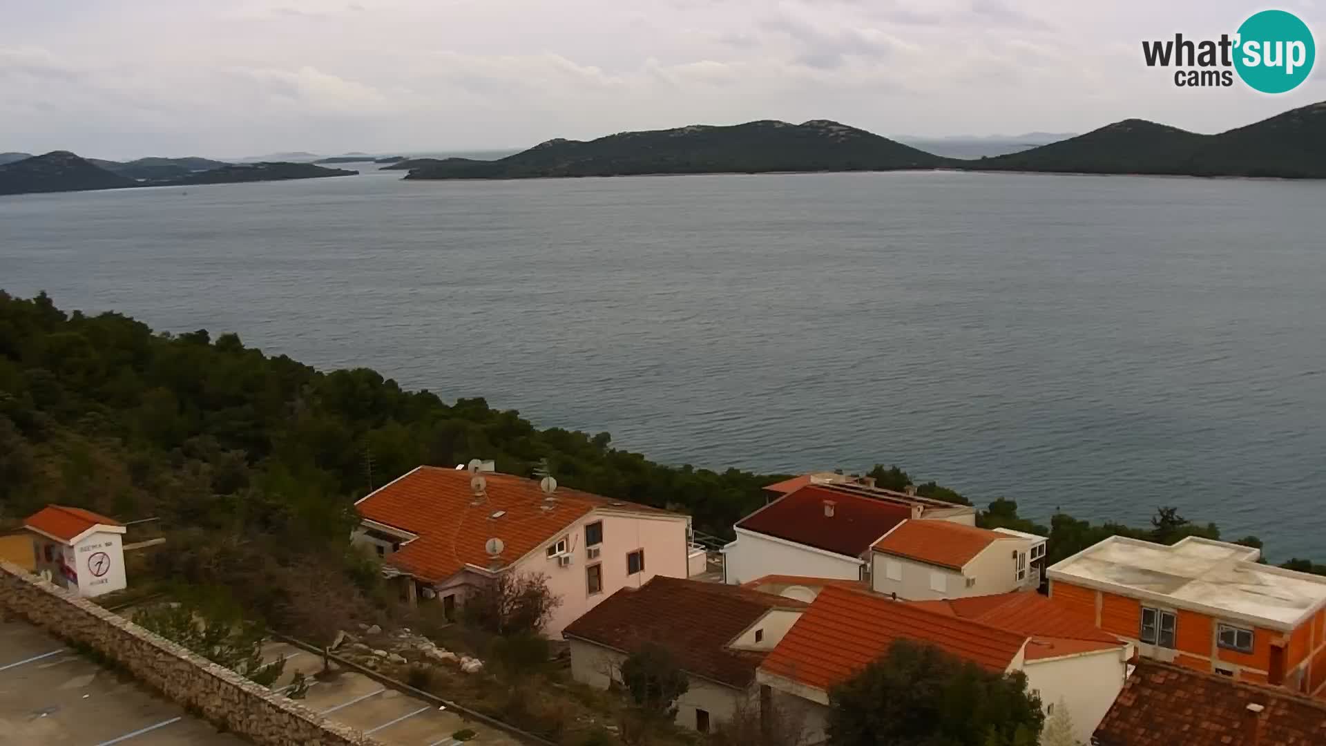 Camera en vivo Drage – Triple “P”