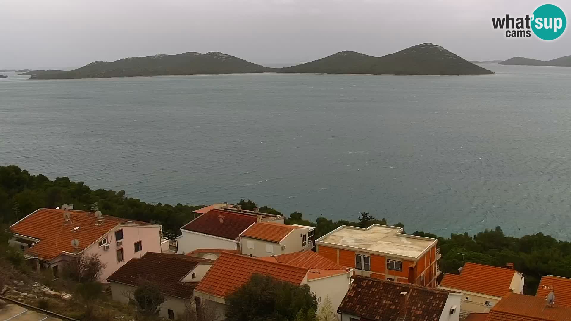 Camera en vivo Drage Croacia