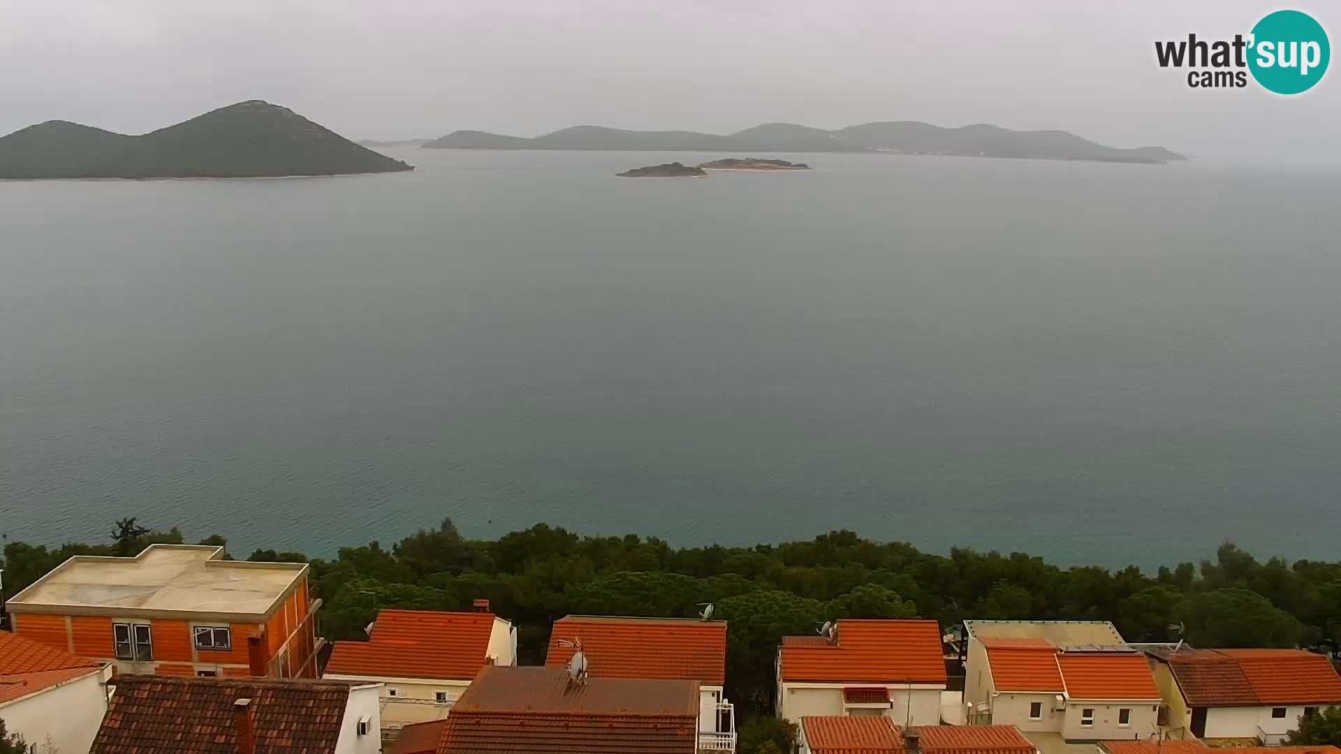 Camera en vivo Drage Croacia