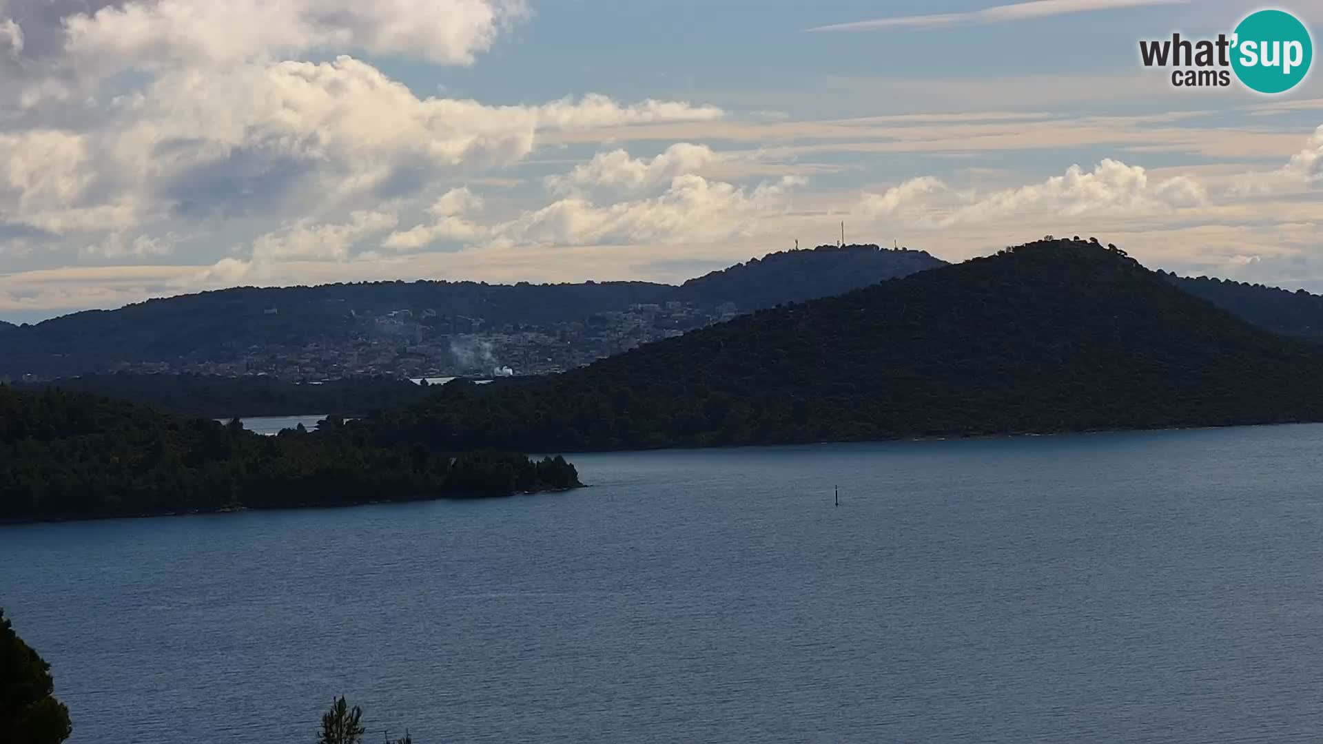 Camera en vivo Drage Croacia