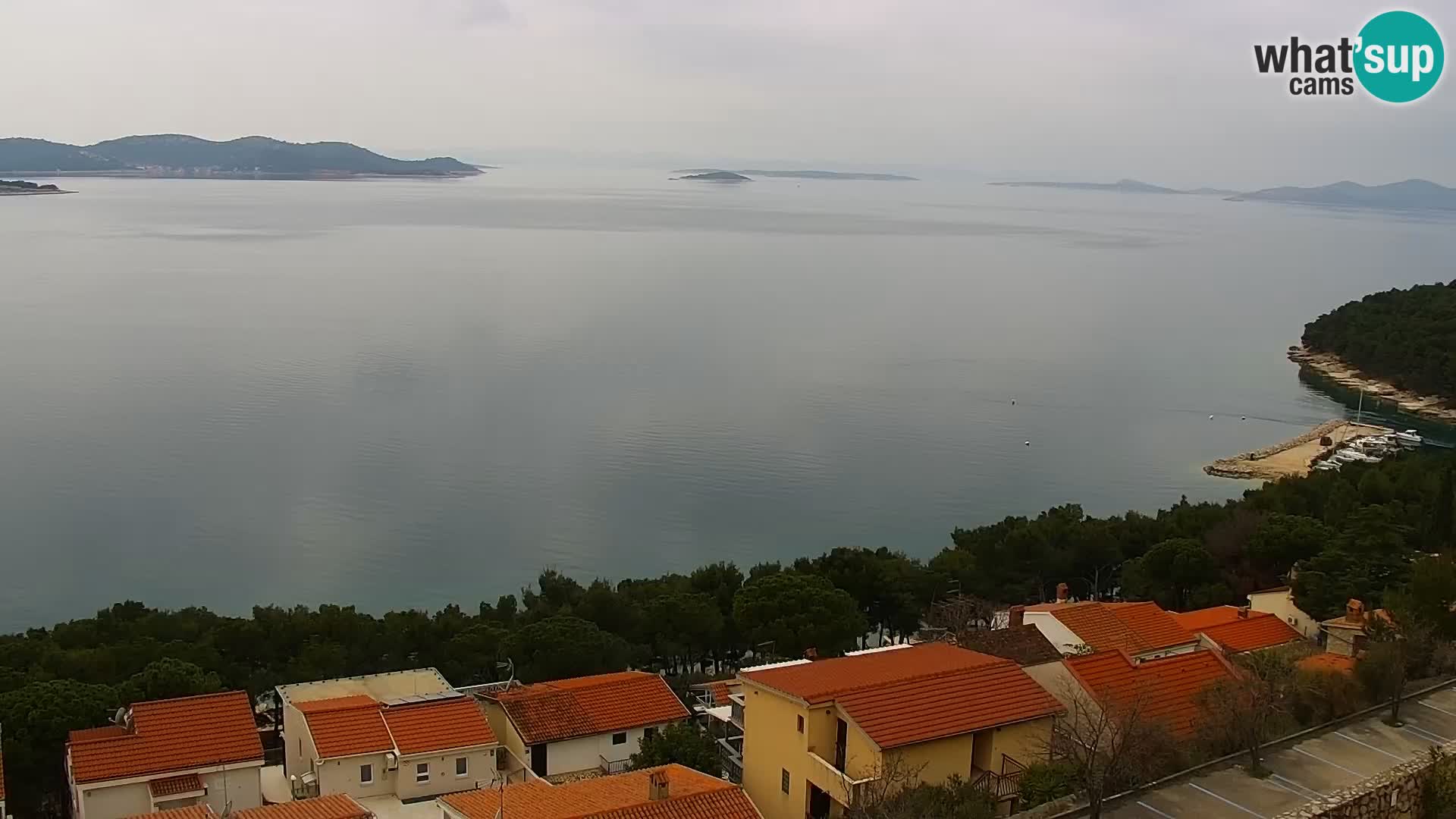 Camera en vivo Drage Croacia