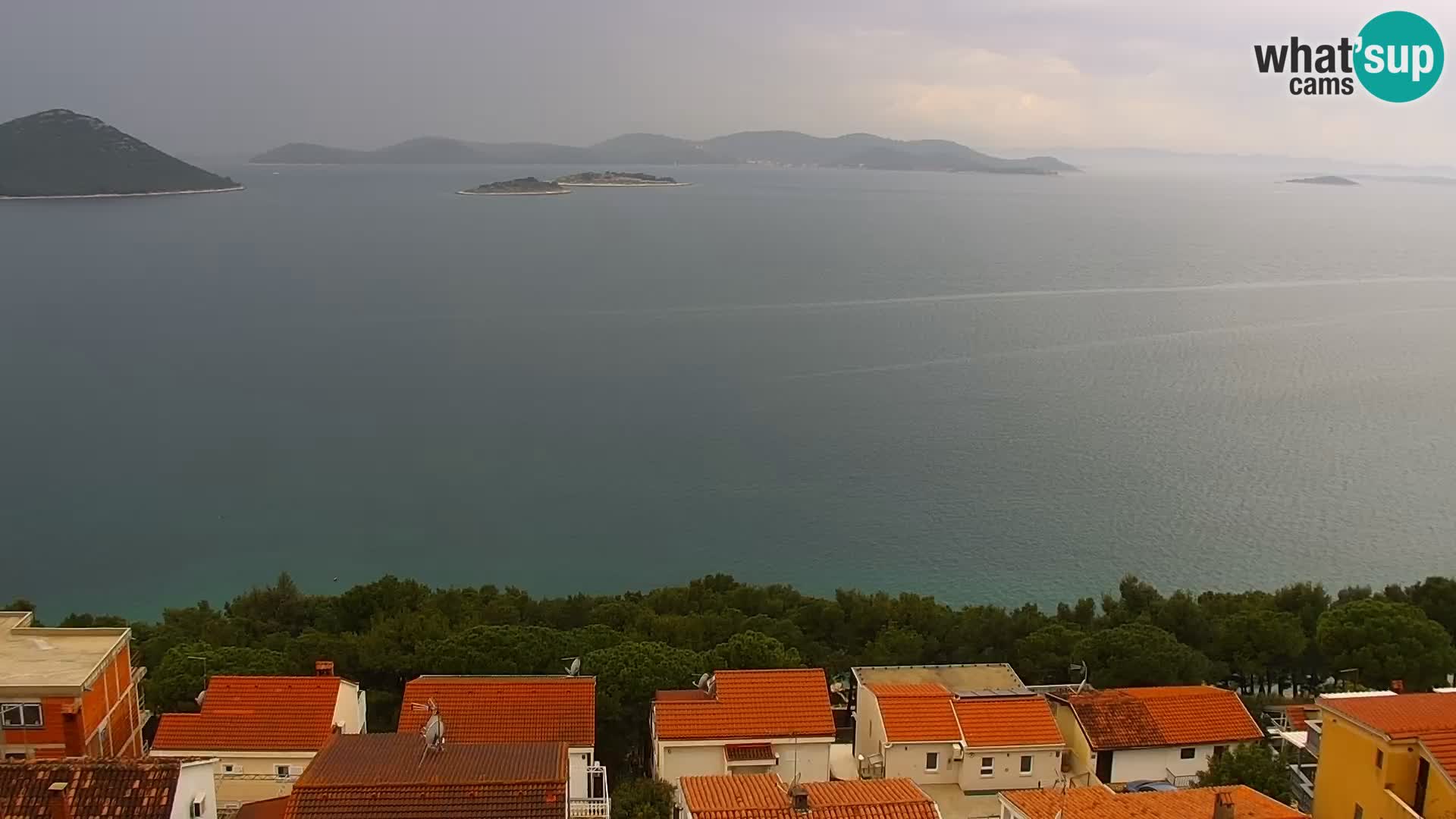 Camera en vivo Drage – Triple “P”