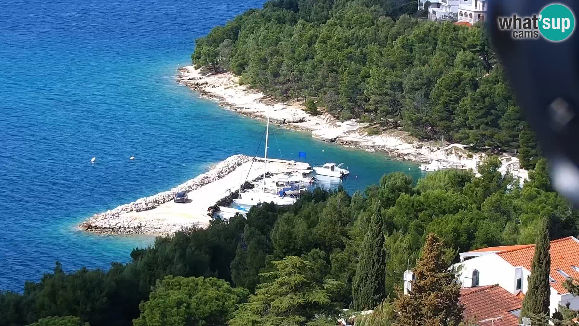 Camera en vivo Drage Croacia