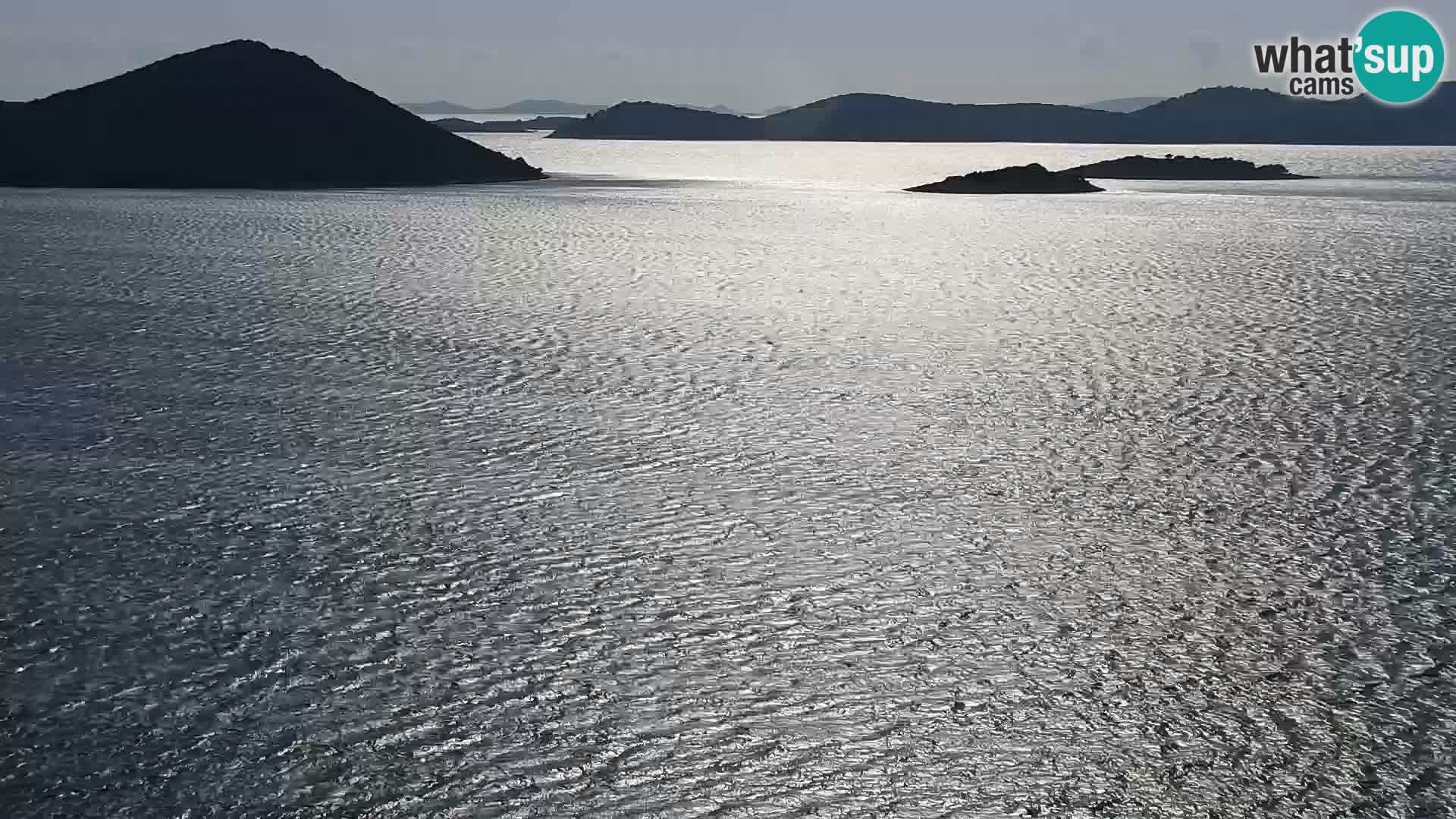 Camera en vivo Drage Croacia