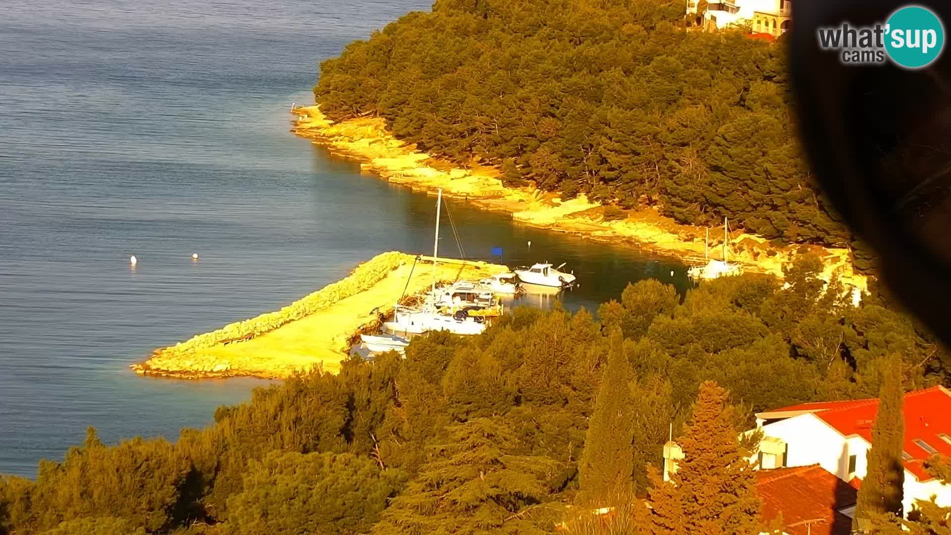 Webcam Drage – Dalmatien