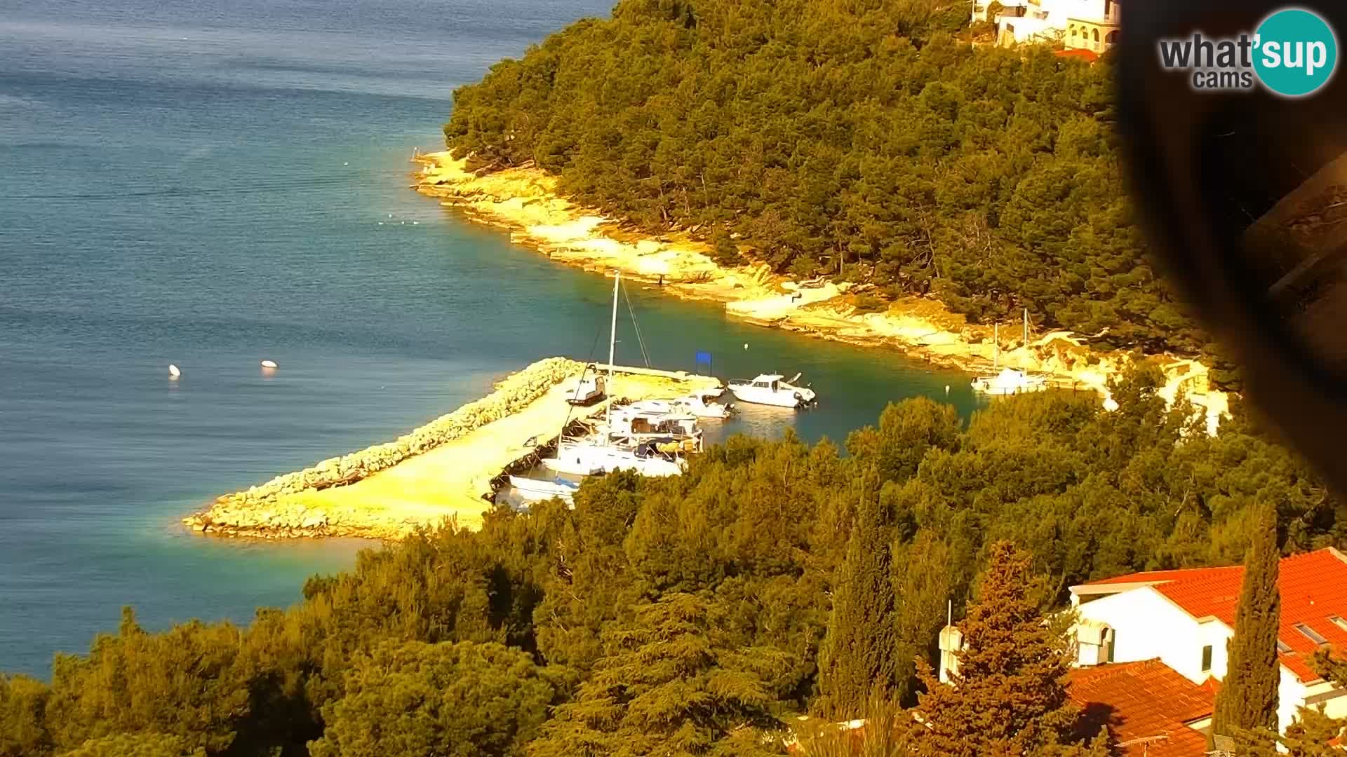 Webcam Drage – panorama view