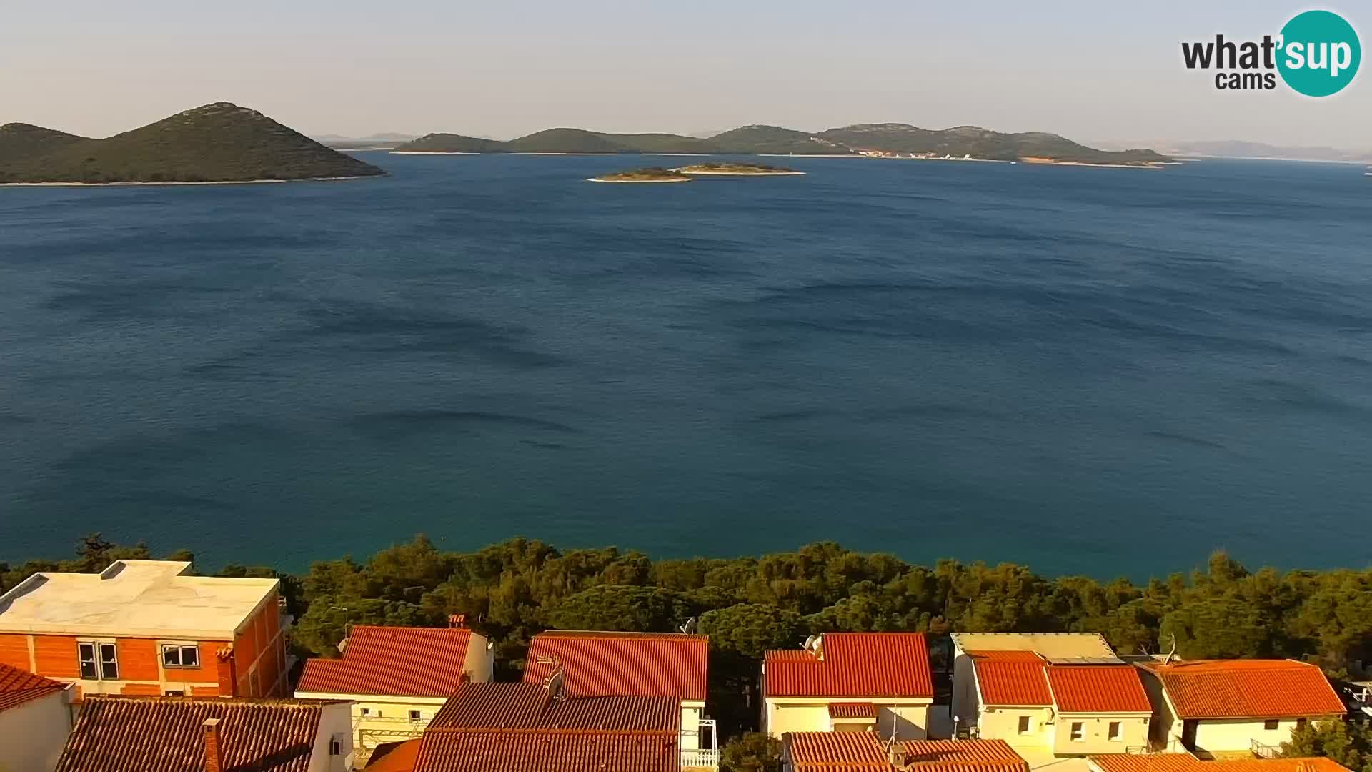 Camera en vivo Drage Croacia