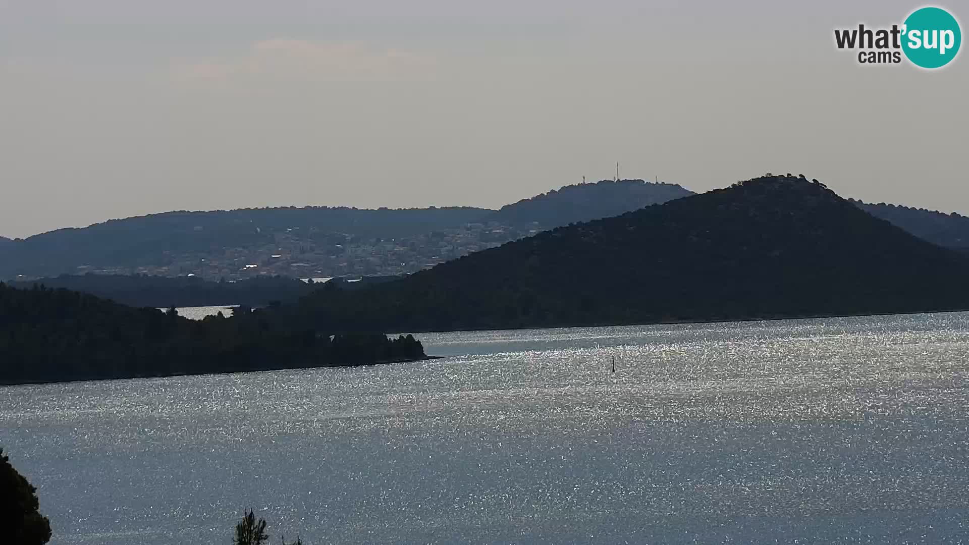 Camera en vivo Drage Croacia