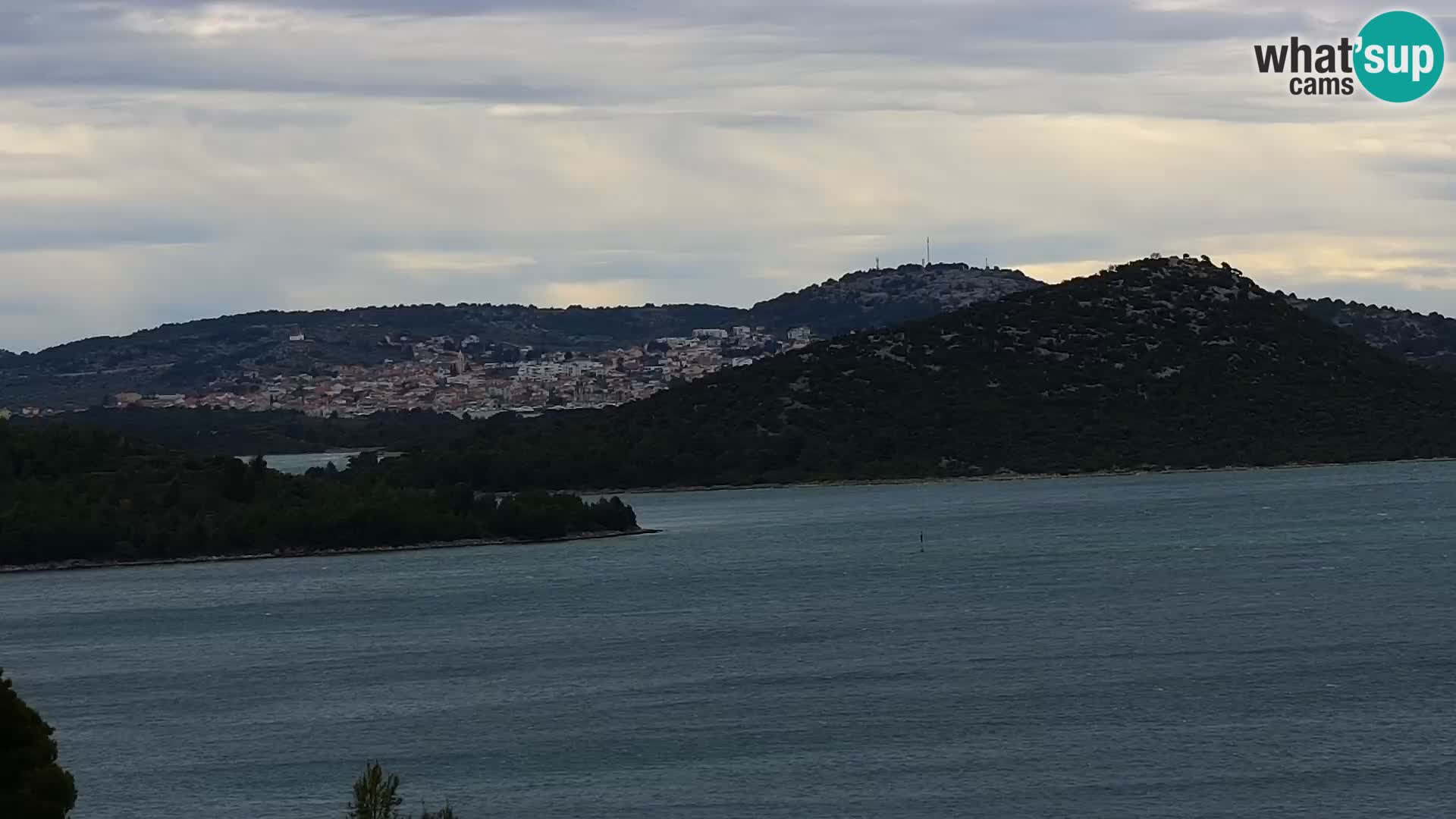 Camera en vivo Drage Croacia