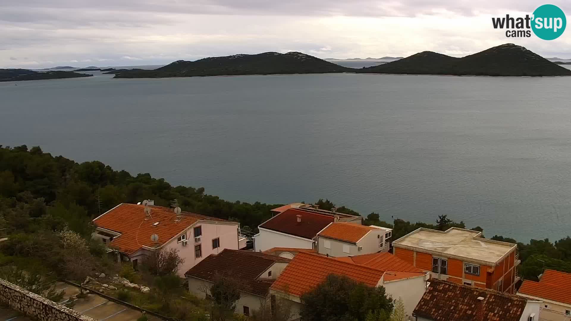 Camera en vivo Drage Croacia