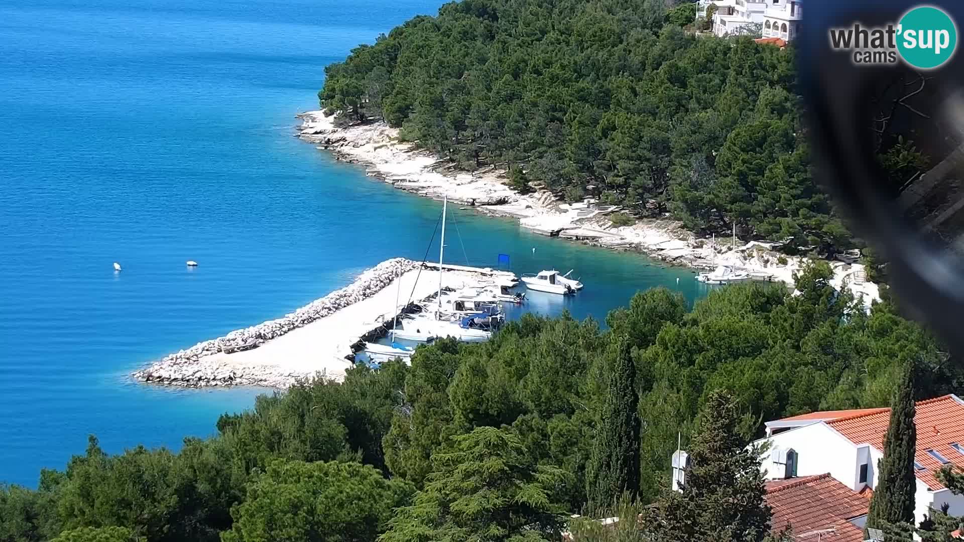 Camera en vivo Drage Croacia