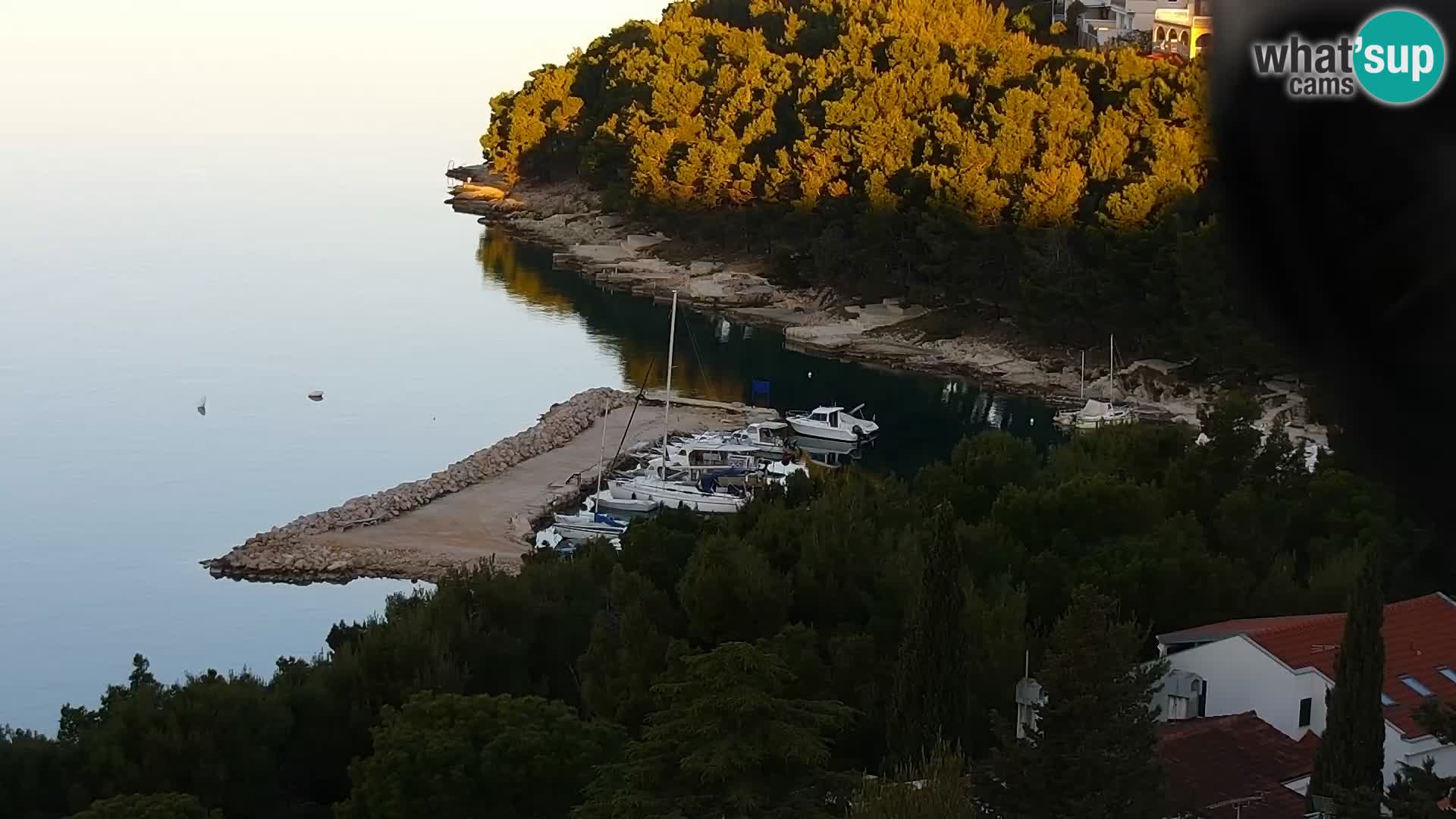 Camera en vivo Drage Croacia