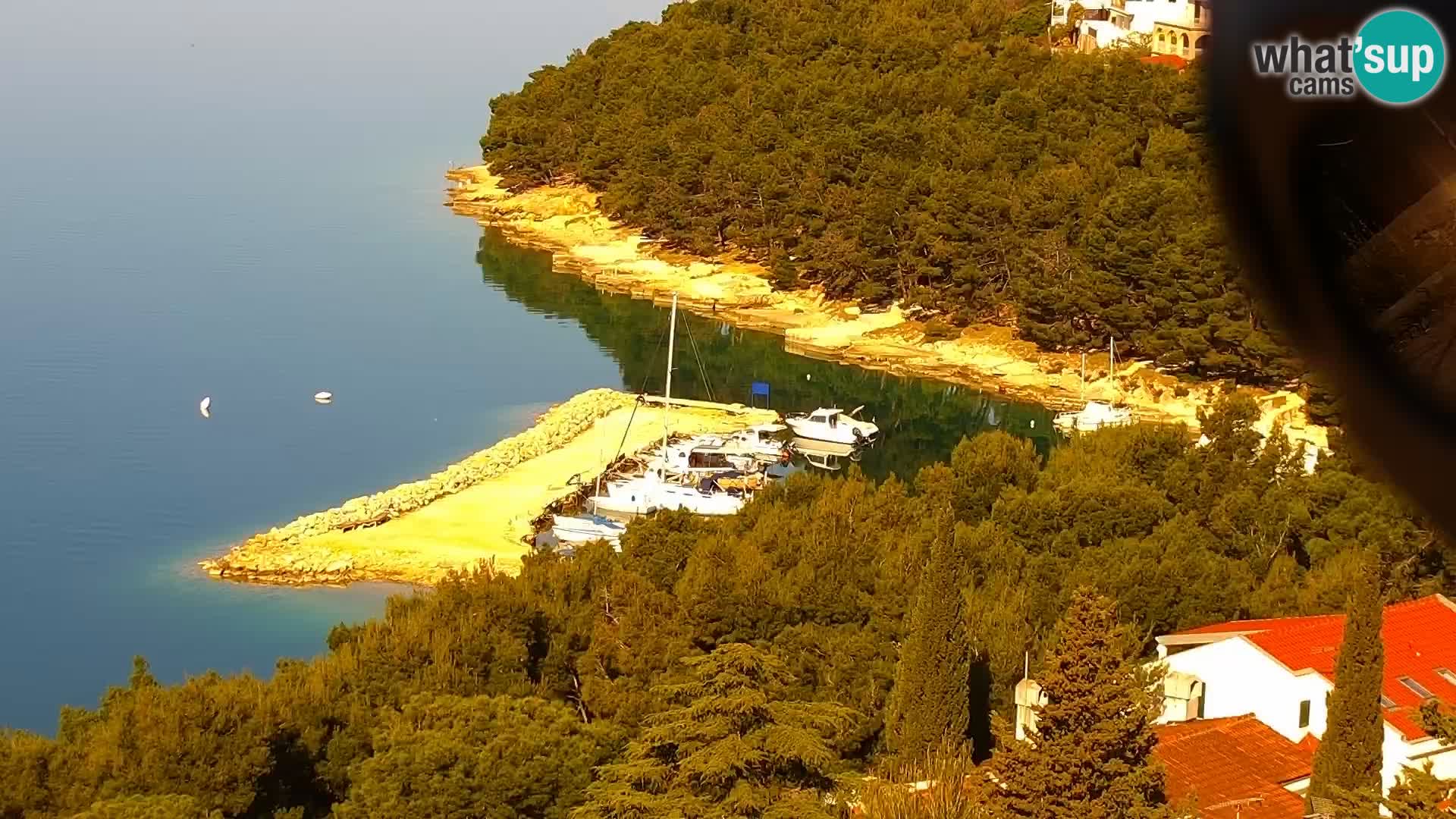 Camera en vivo Drage Croacia